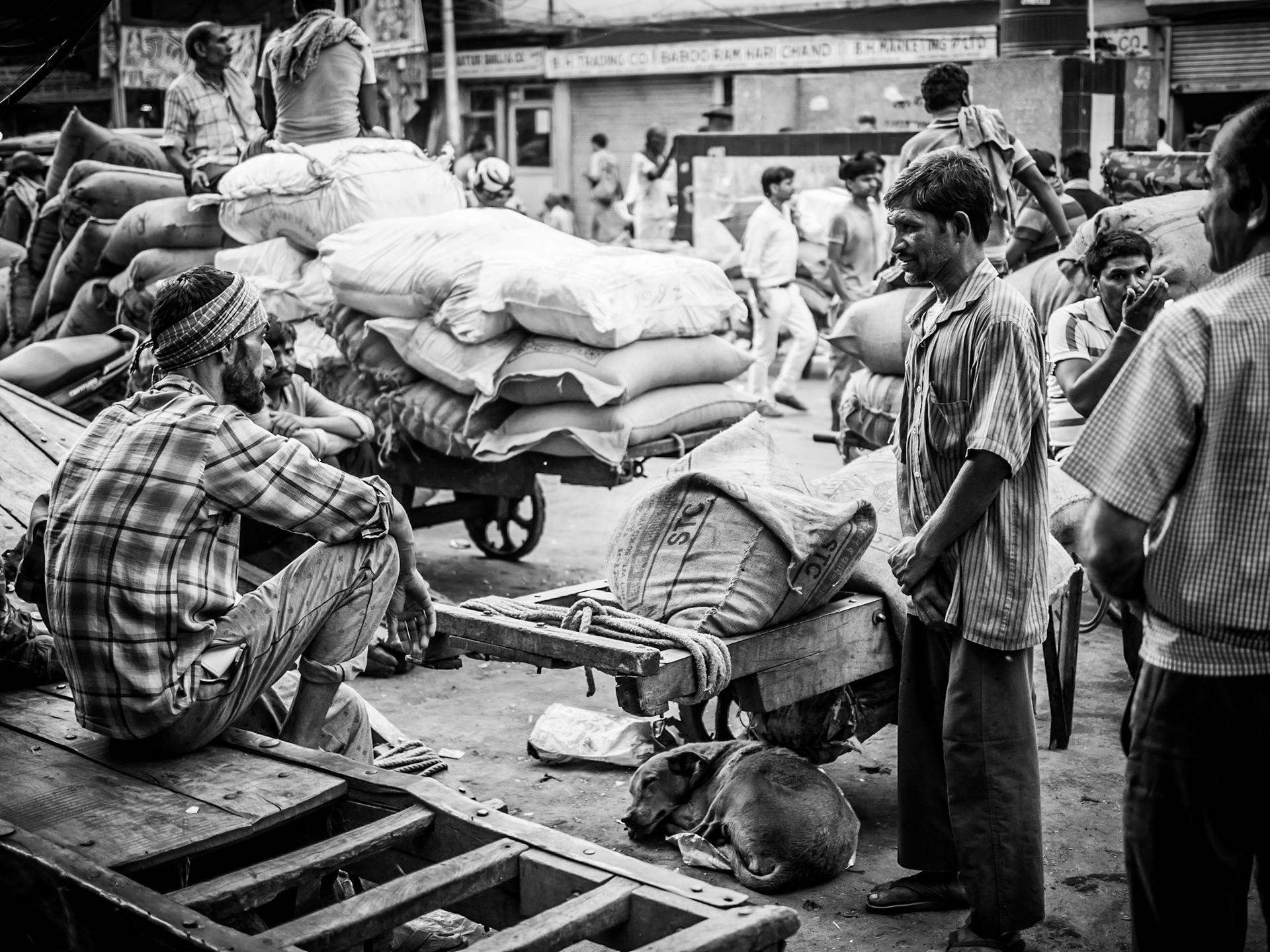 A dog sleeps oblivious to the castigation going on around him in the Chandni Chowk market district of New Delhi