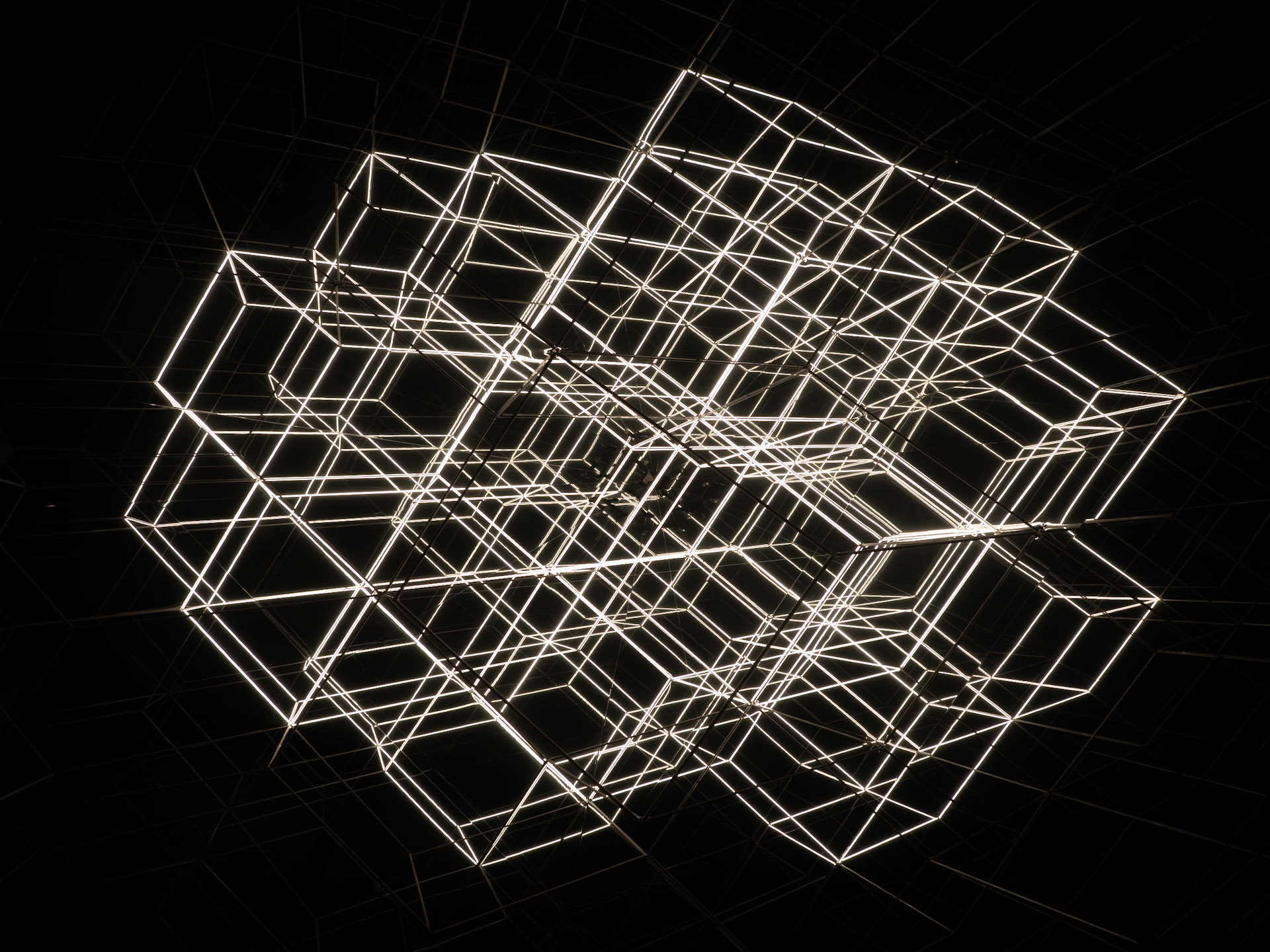 Delicate lines intertwine, forming a complex cubic structure suspended in a stark void