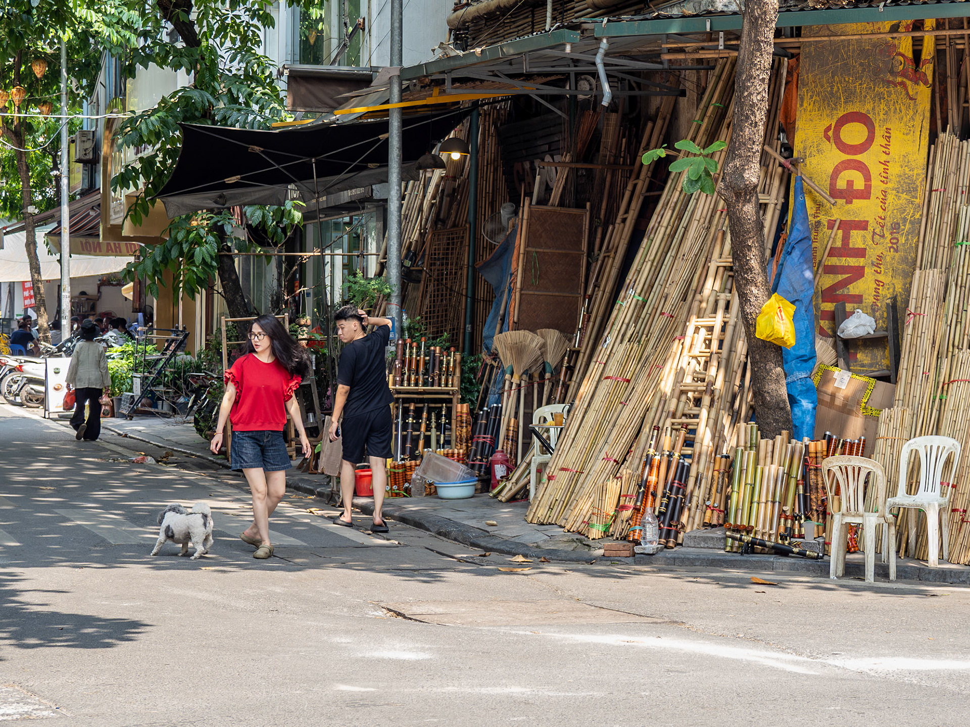 In the Vietnamese capital of Hanoi, a young woman walks ahead with a small dog past a towering bamboo stand, while the young man beside her steals a quick, admiring look