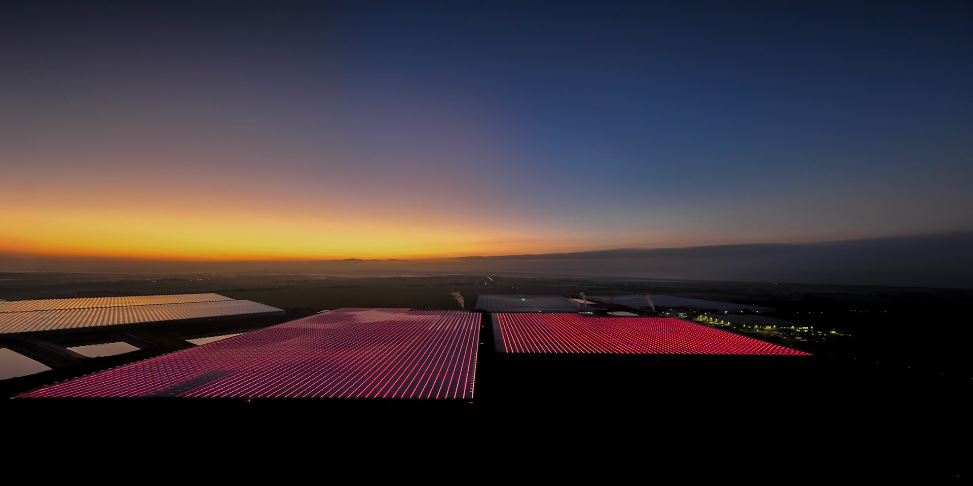 Thousands of bulbs light up enormous glass houses with artificial light as the natural sun sets in the distance