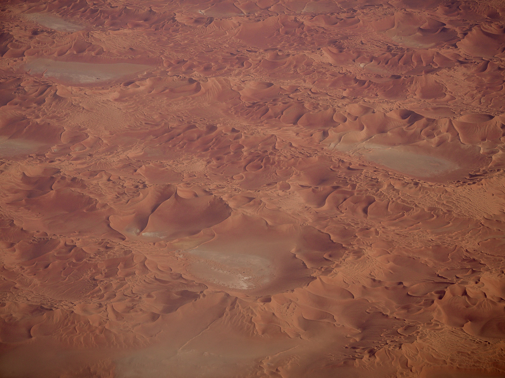 Vivid rust-red dunes constantly evolve in the Sahara desert