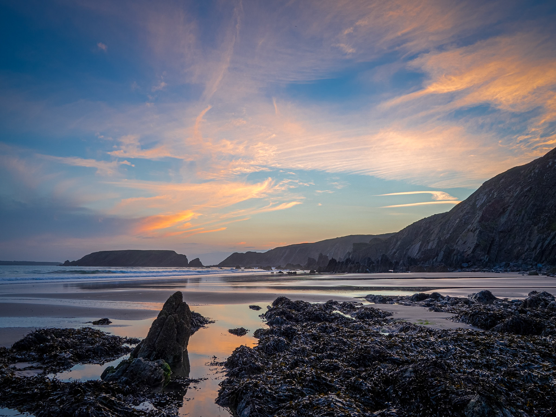 Seaweed lies uncovered at low-tide on Marloes Sands, Pembrokeshire