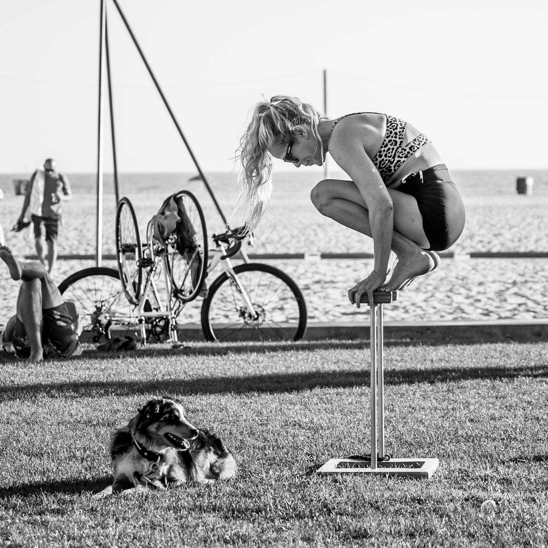 A dog watches over his owner as she practices acrobatics on Santa Monica's Muscle Beach, west of the city of Los Angeles