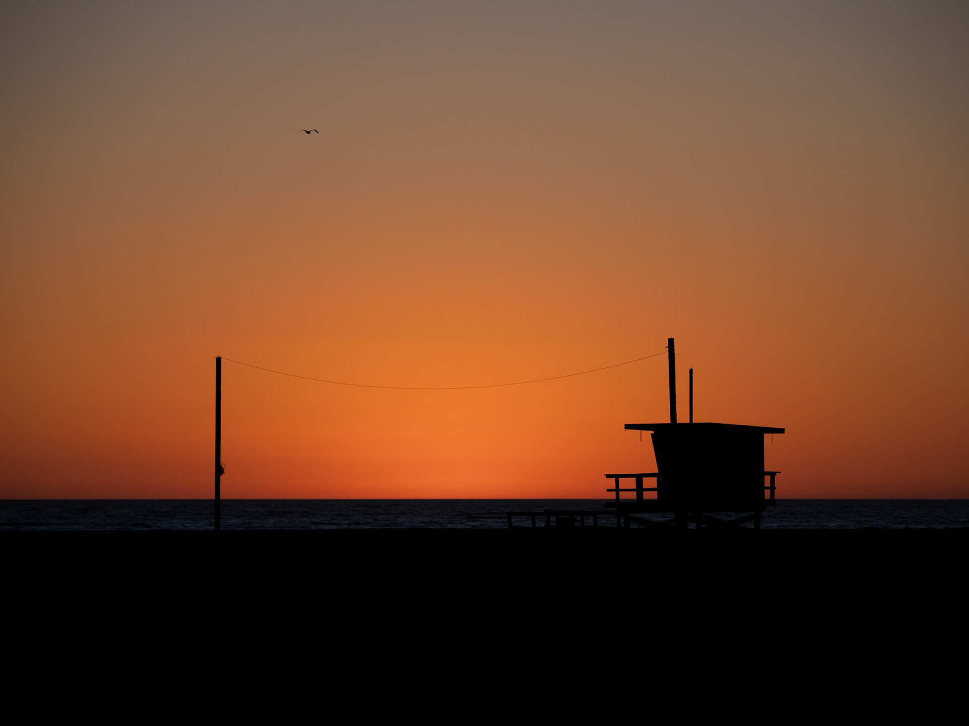 A lone seagull glides above a lifeguard station as the sun sets behind Venice Beach