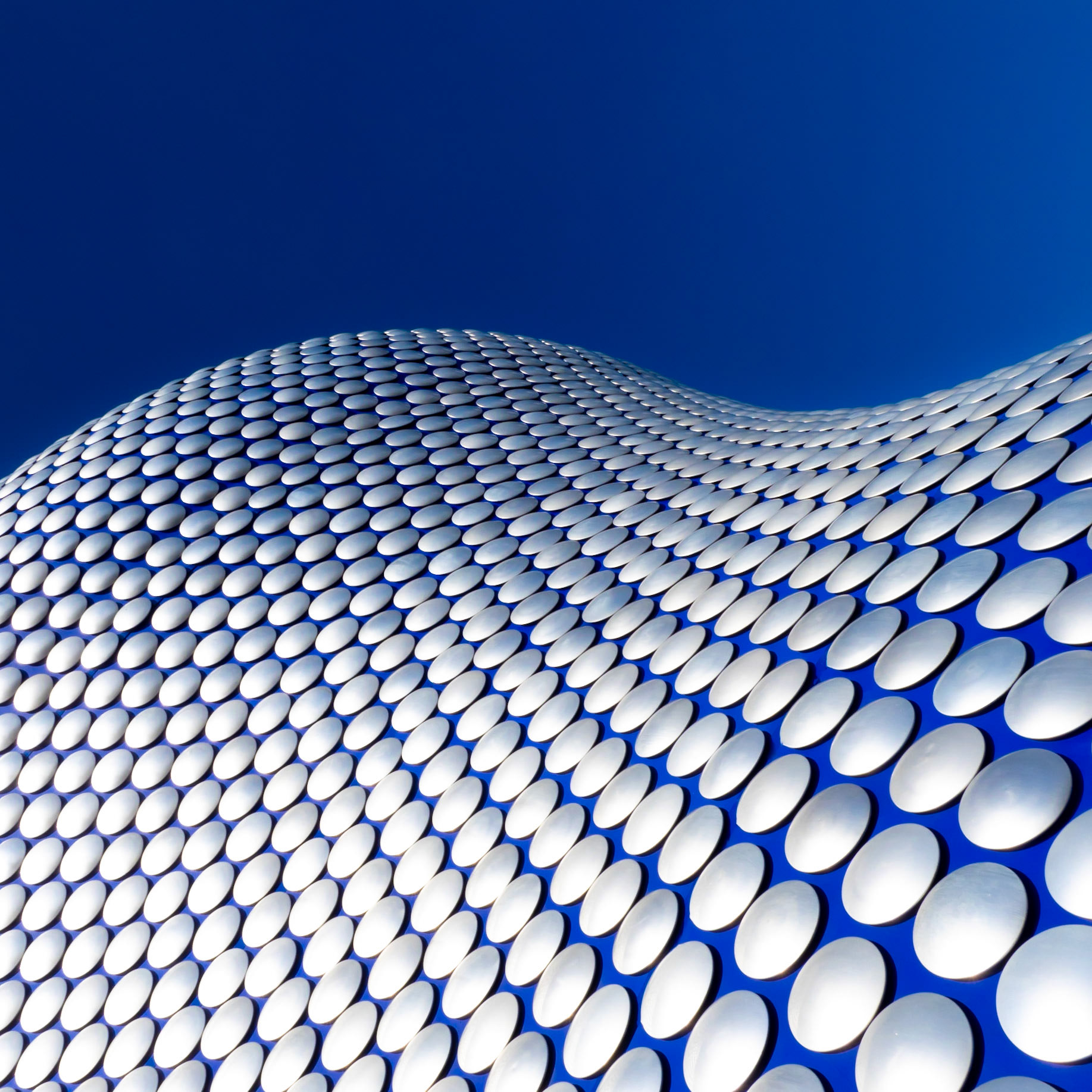 A mesmerising sea of bright discs curl towards a vivid blue sky