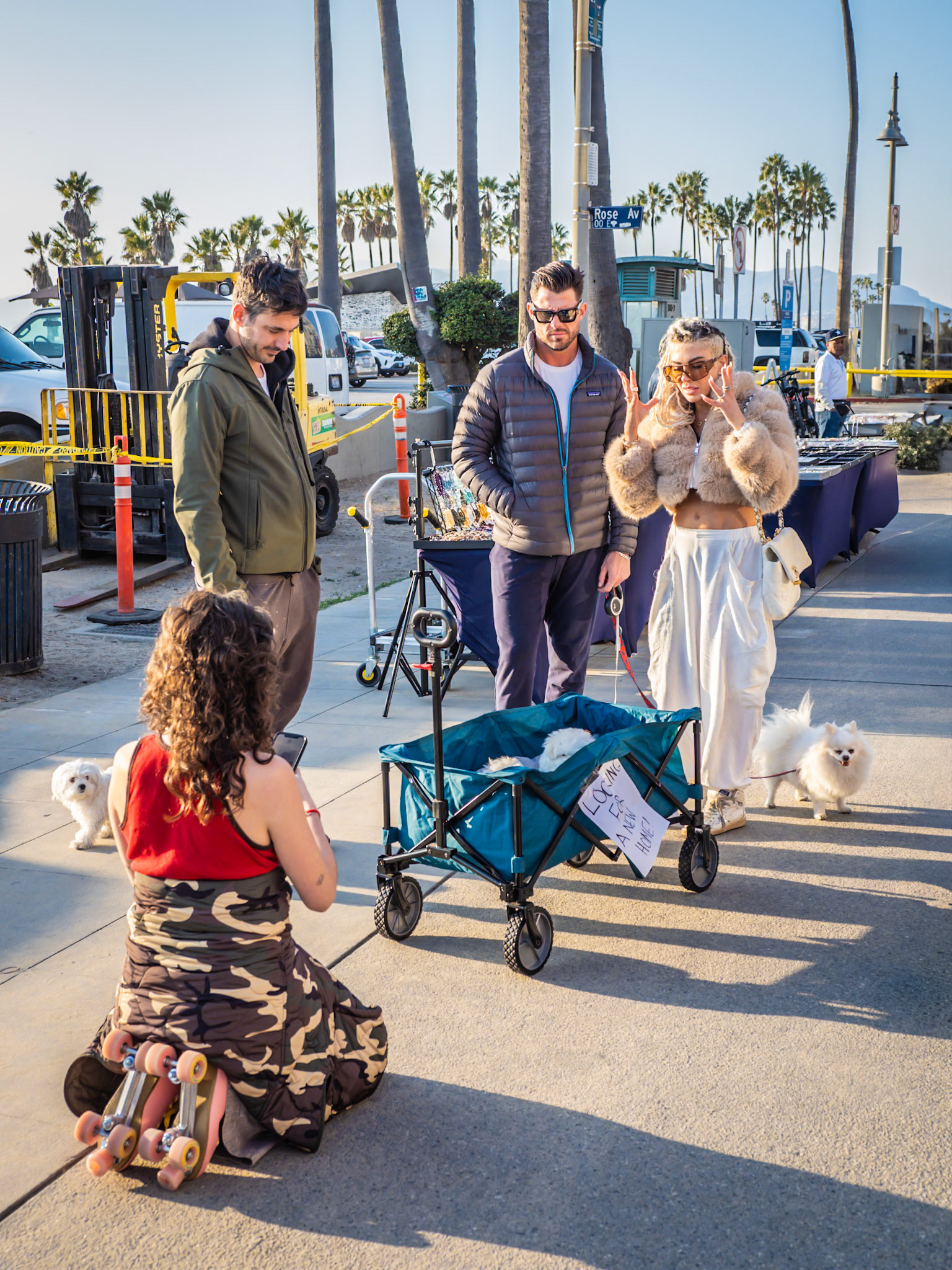 A striking couple swoon over a collection of puppies as they choose their next pet on the boardwalk of Venice Beach