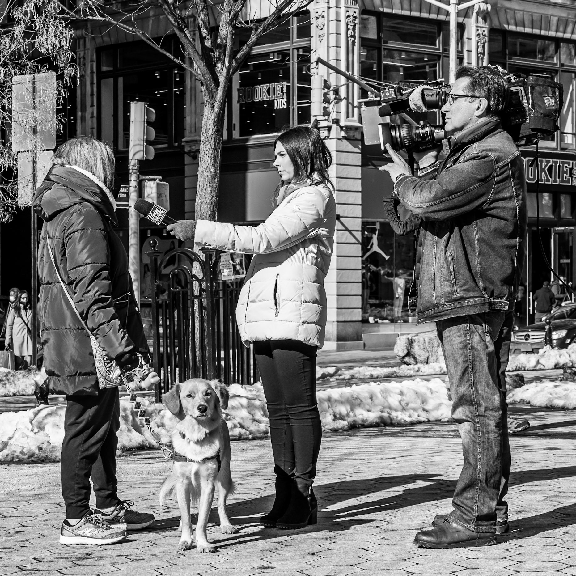 A woman is asked her opinion by a TV crew whilst her dog appears unimpressed with the delay to their daily walk