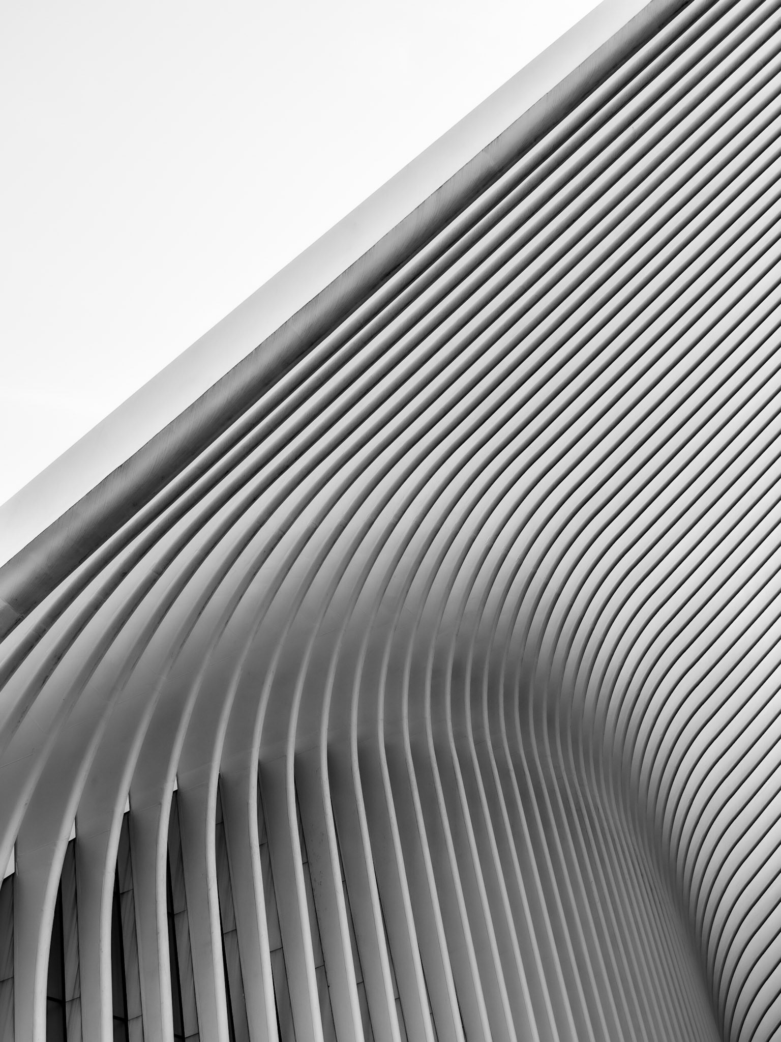 The veins of the atrium of the Oculus Center are highlighted on a bright day in southern Manhatten