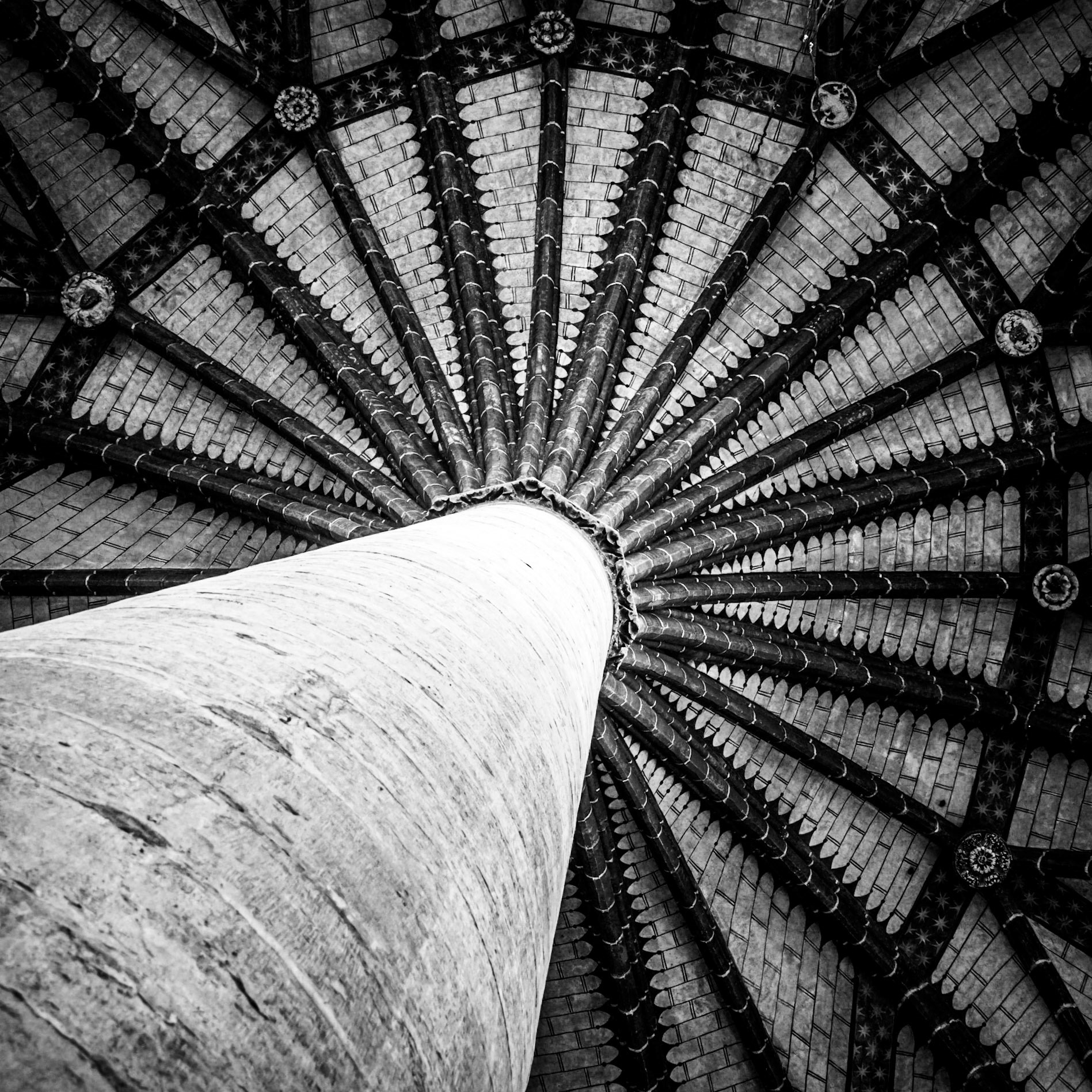 The cavernous ceiling of the Couvent des Jacobins in Toulouse