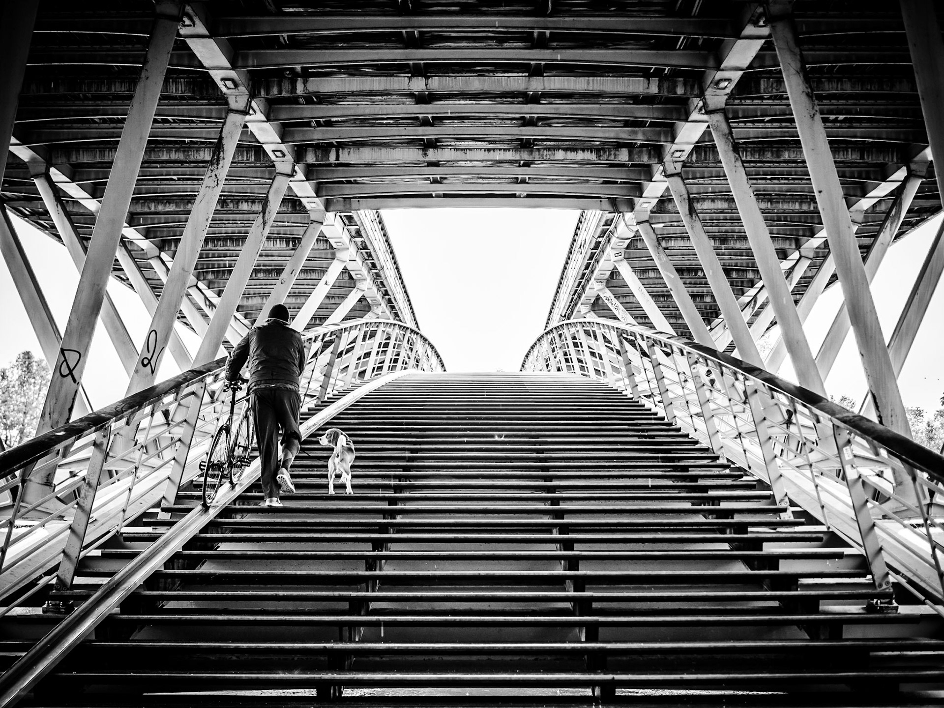 On a rainy day in Paris, a dog encourages his owner up the steps of the Passerelle Leopold-Sedar-Senghor across the River Seine