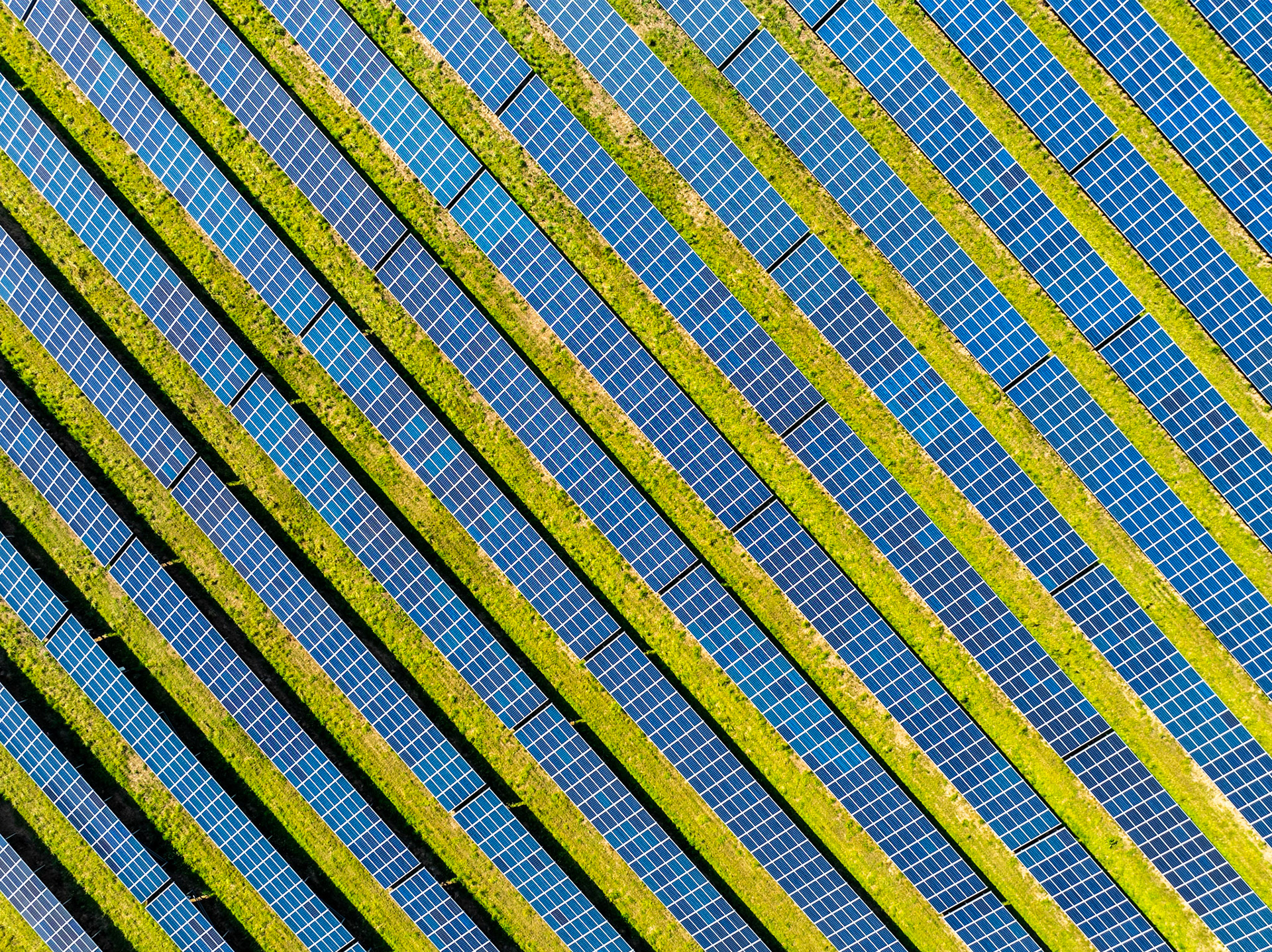 Solar panels lie vivid against the green grass of a field in Sussex, England