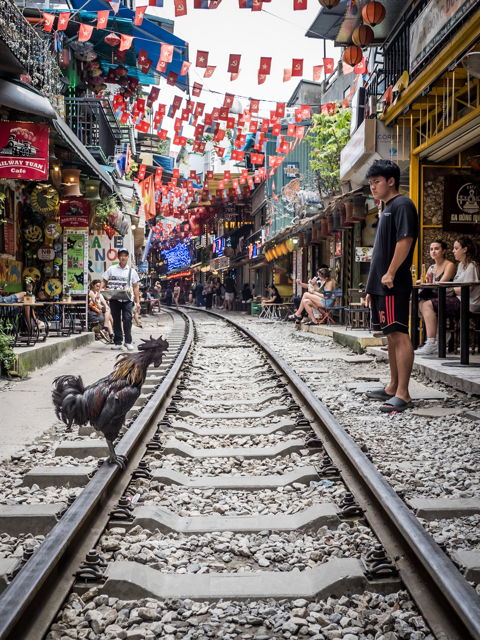 An imposing cockeral makes himself heard as he stands on the railway tracks in central Hanoi