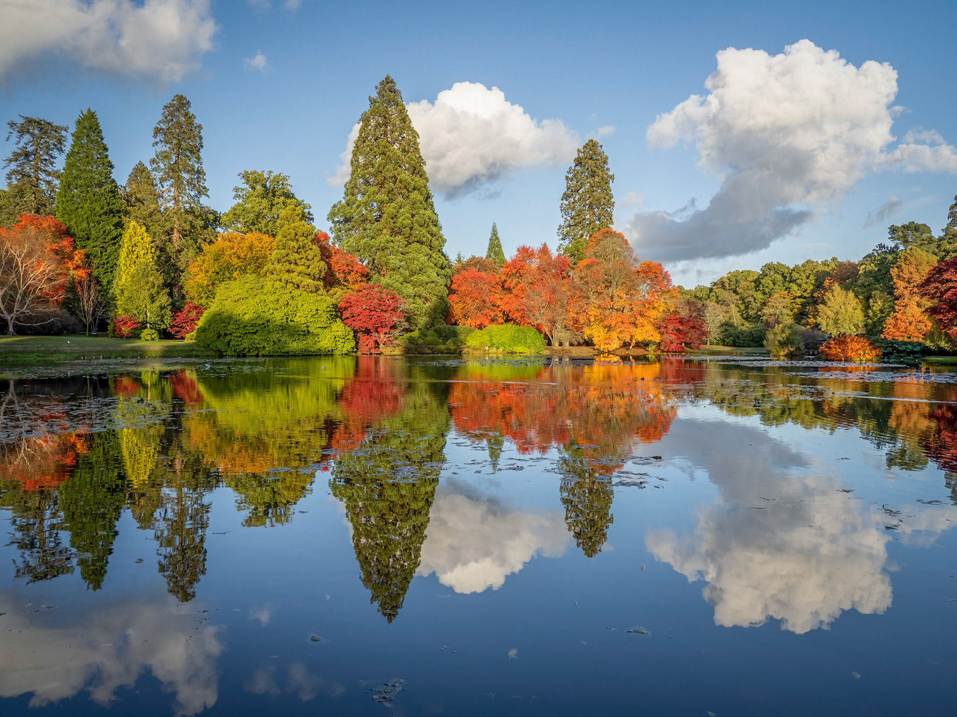 The beautiful autumn colours of trees reflected in the middle lake of Sheffield Park Gardens in Sussex