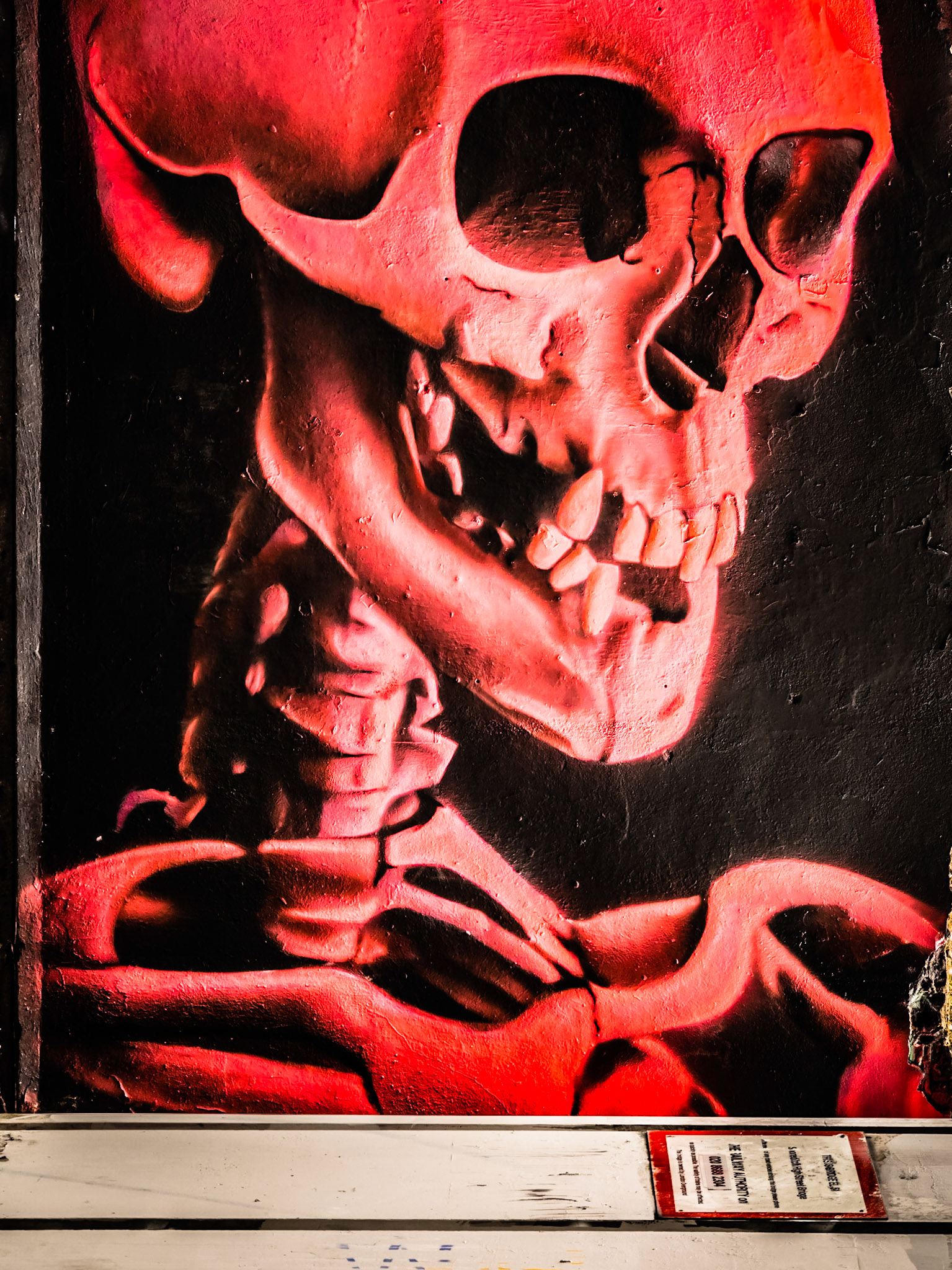 Ghostly graffiti depicts part of a vivid red skeleton lying underneath a railway bridge in the Shoreditch