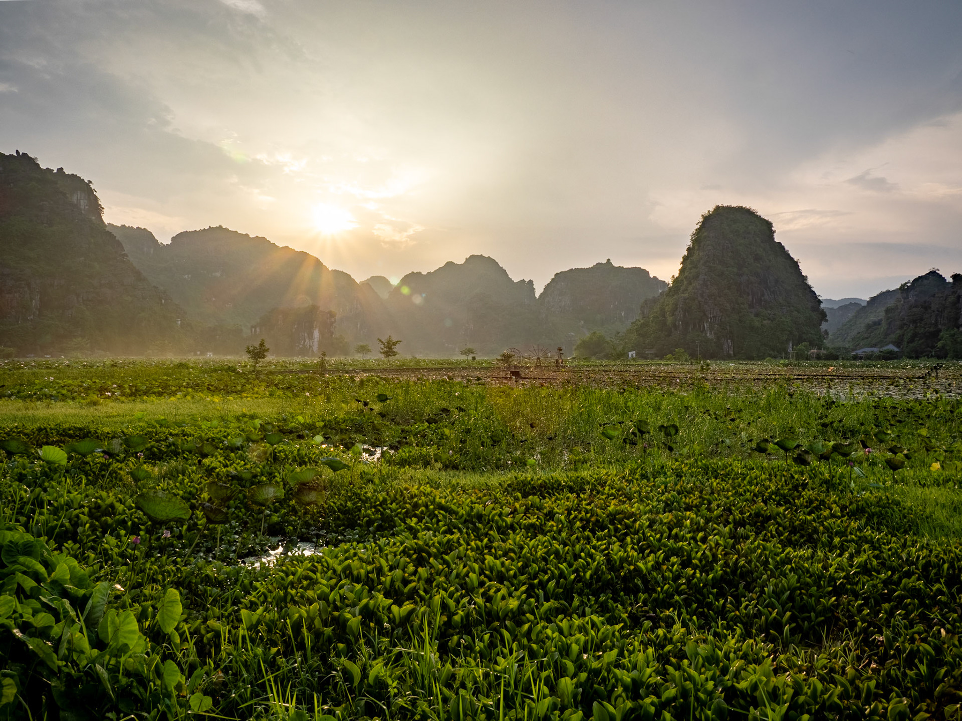 Water lillies lie on the still surface of a large pond as the setting sun falls behind the limestone mountains of Ninh Binh