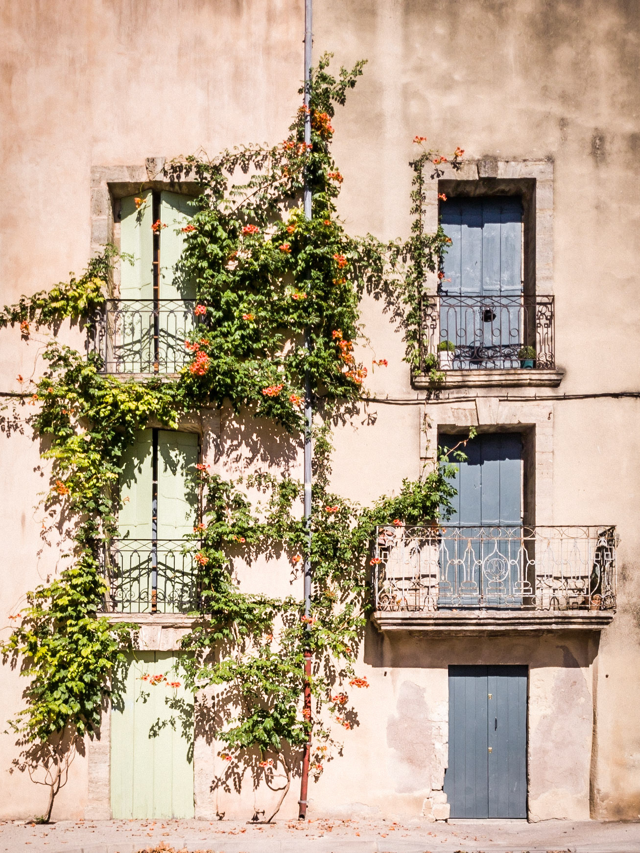 Shuttered windows surrounded by climbing flowers on a back street in the ancient town of Pezenas in France