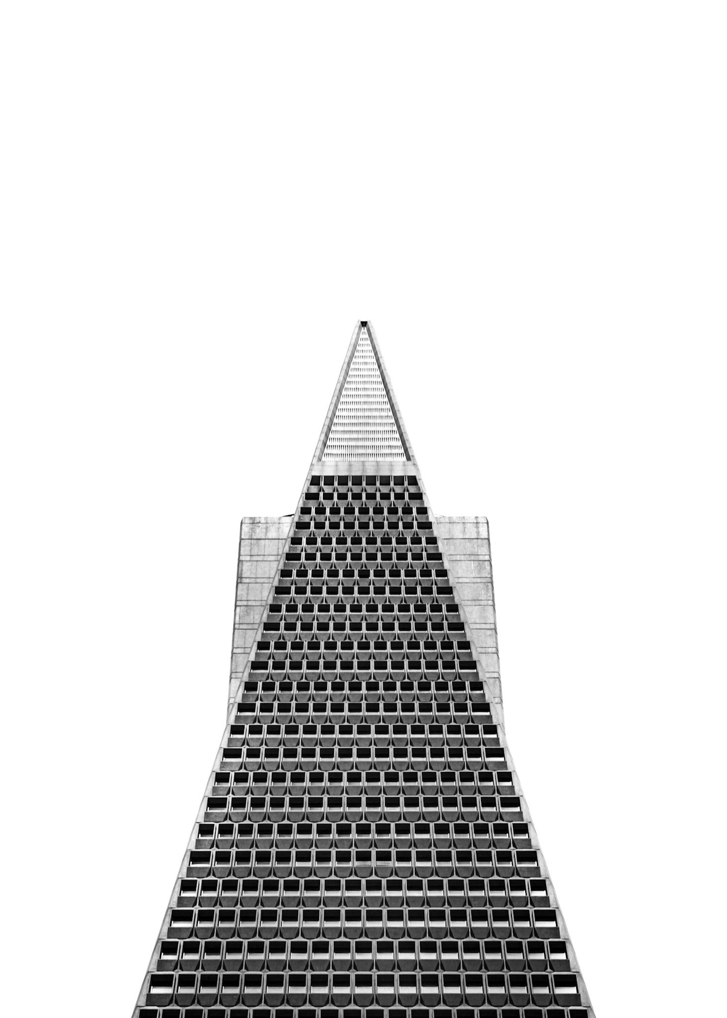 The pyramid form of the Transamerica building rises high above the San Francisco skyline