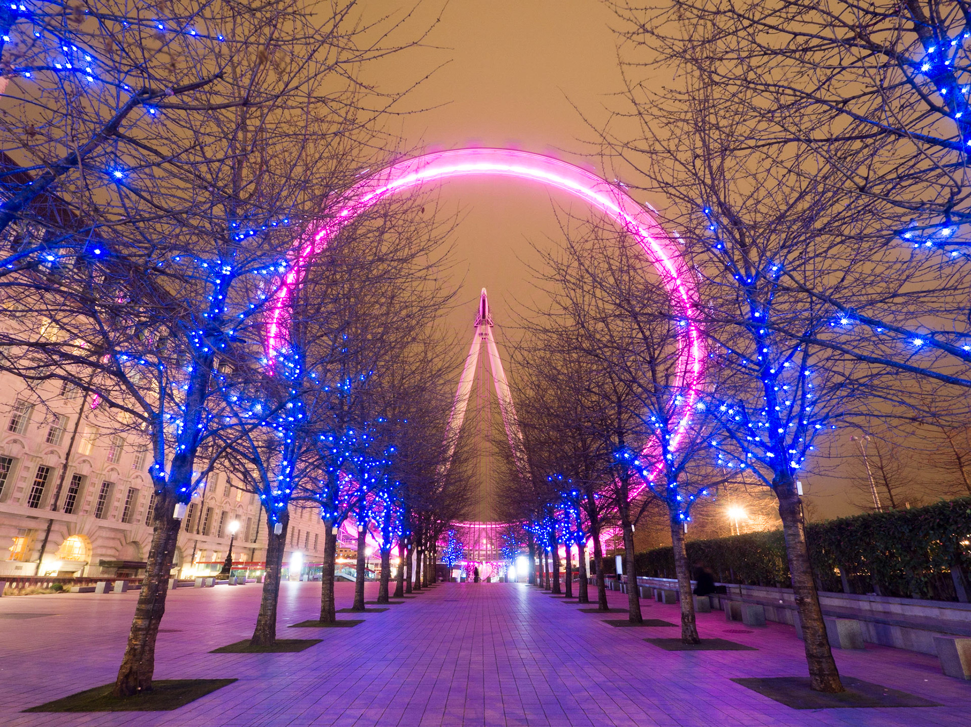 Festive lights draw visitors to the London Eye on the South Bank in London