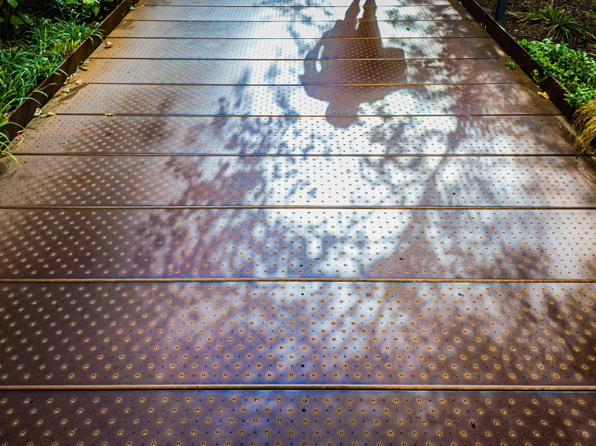 The sun is relfected with a blue tinge off an adjacent skyscraper onto the copper pathway of the High Lin in New York City