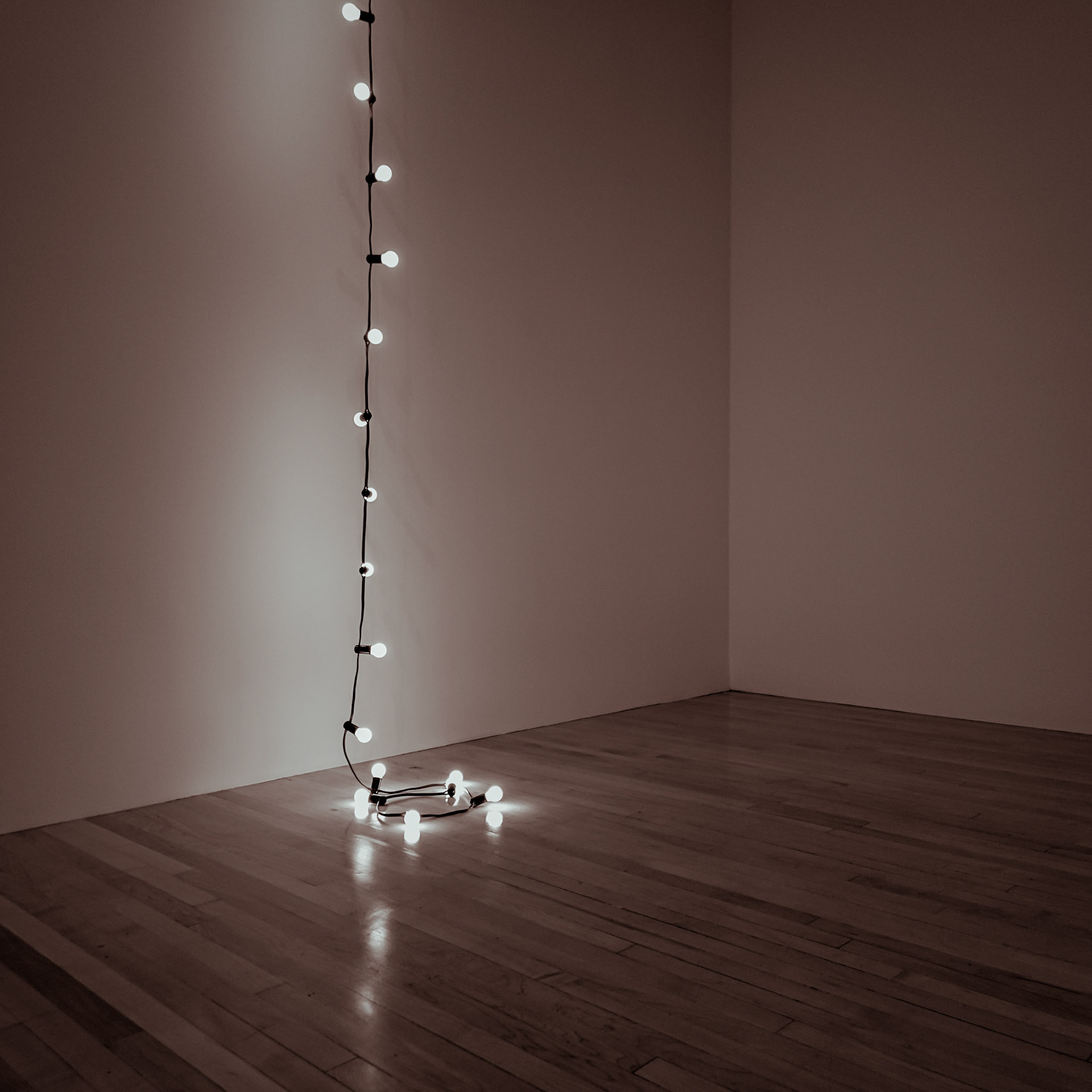 Light bulbs dangle from the ceiling against a wall