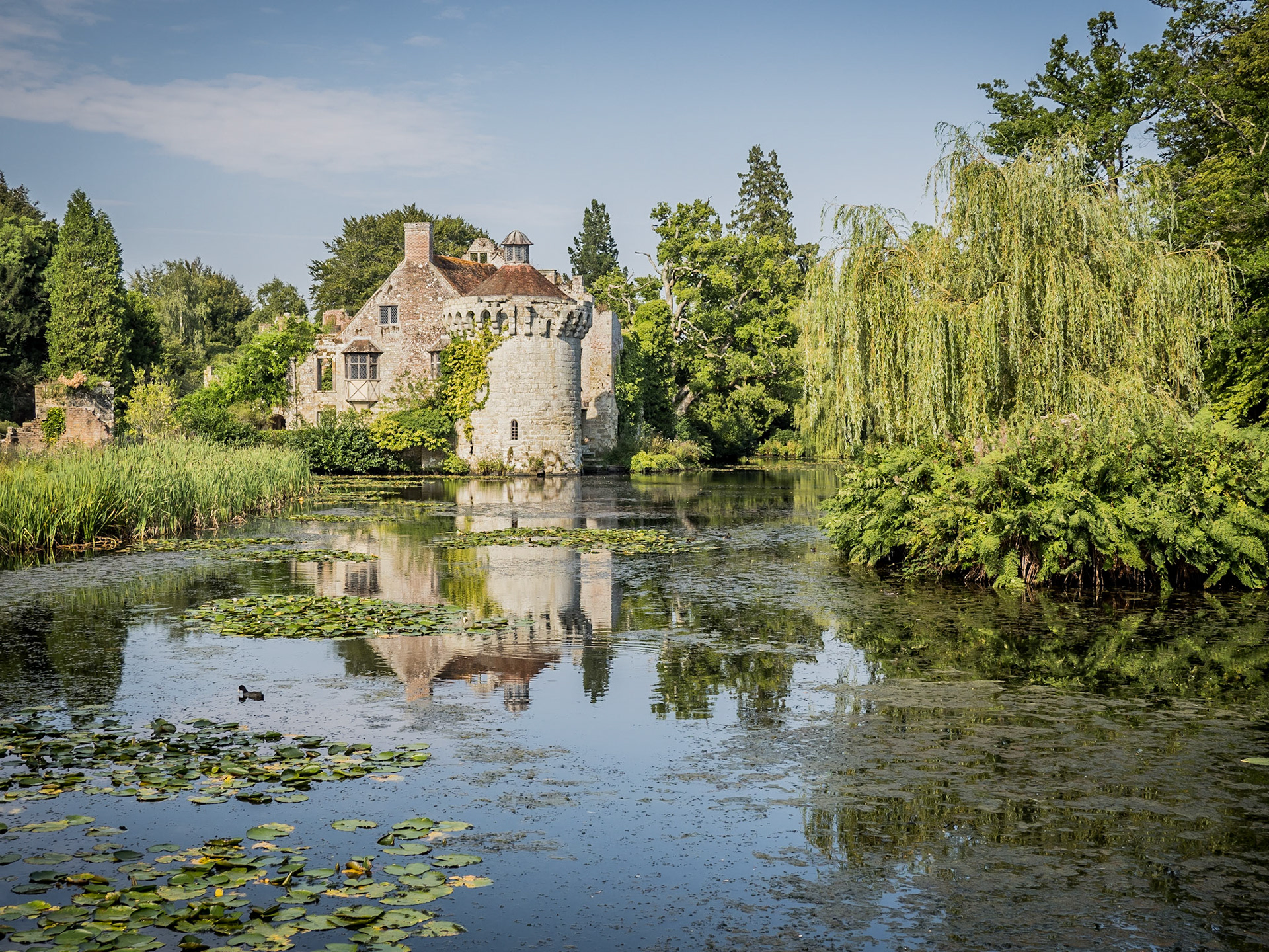 A lone coot searches for food in the lake surrounding the stunning remains of Scotney Castle in Kent