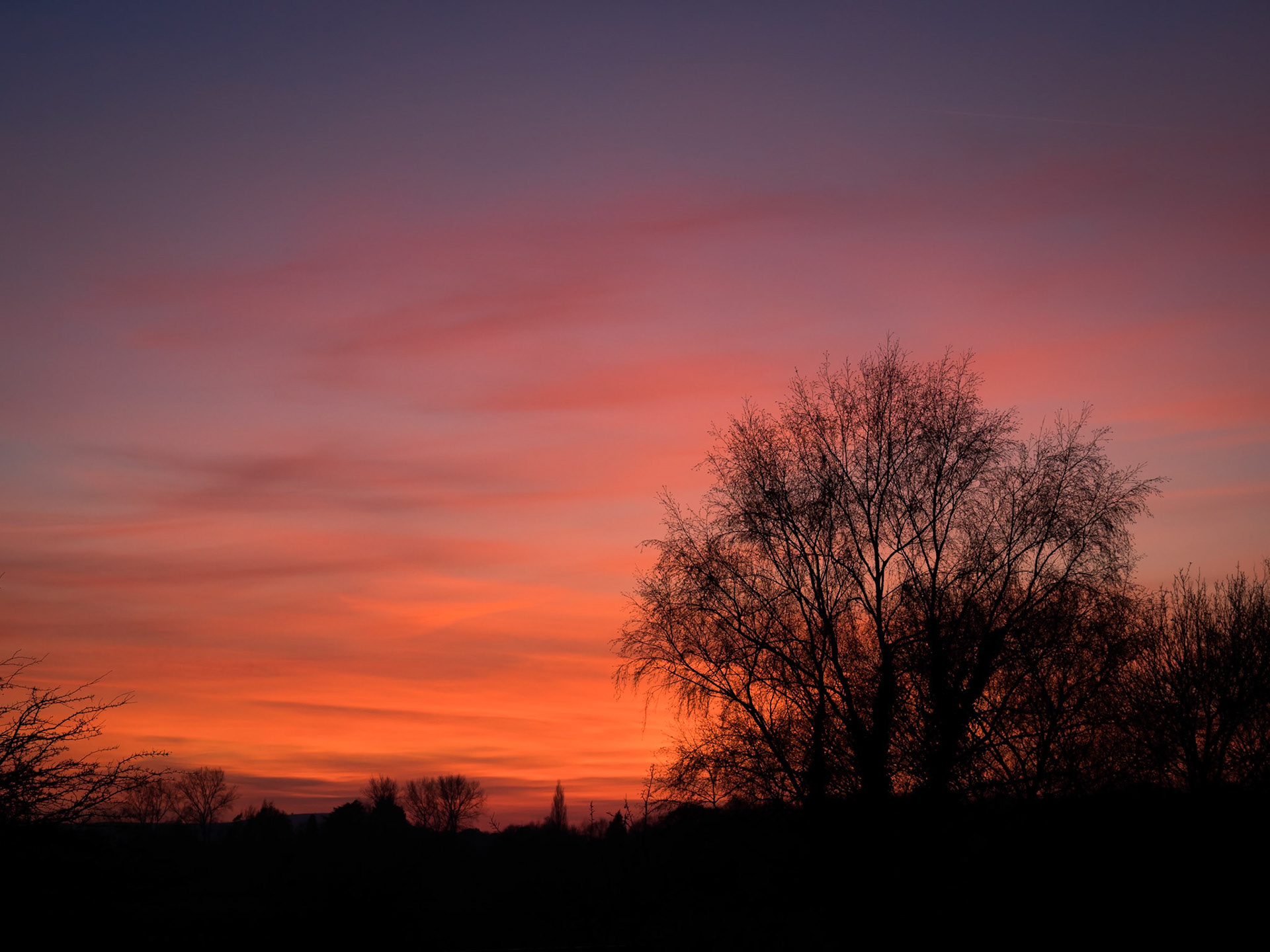 High clouds above Southern England take on a golden hue as dusk falls