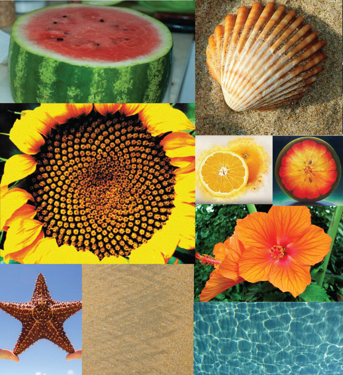 moodboard conceitual