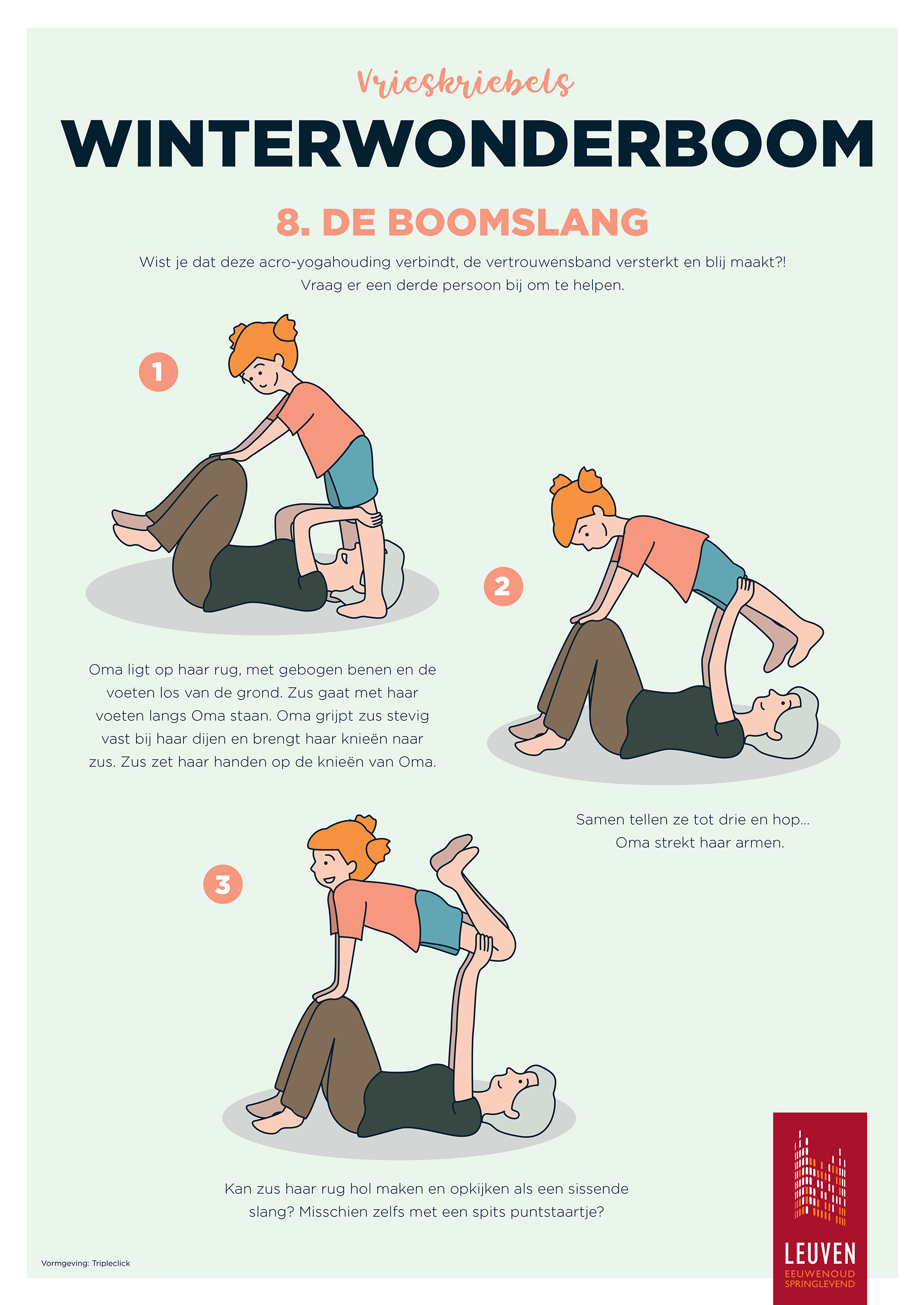 de boomslag poster