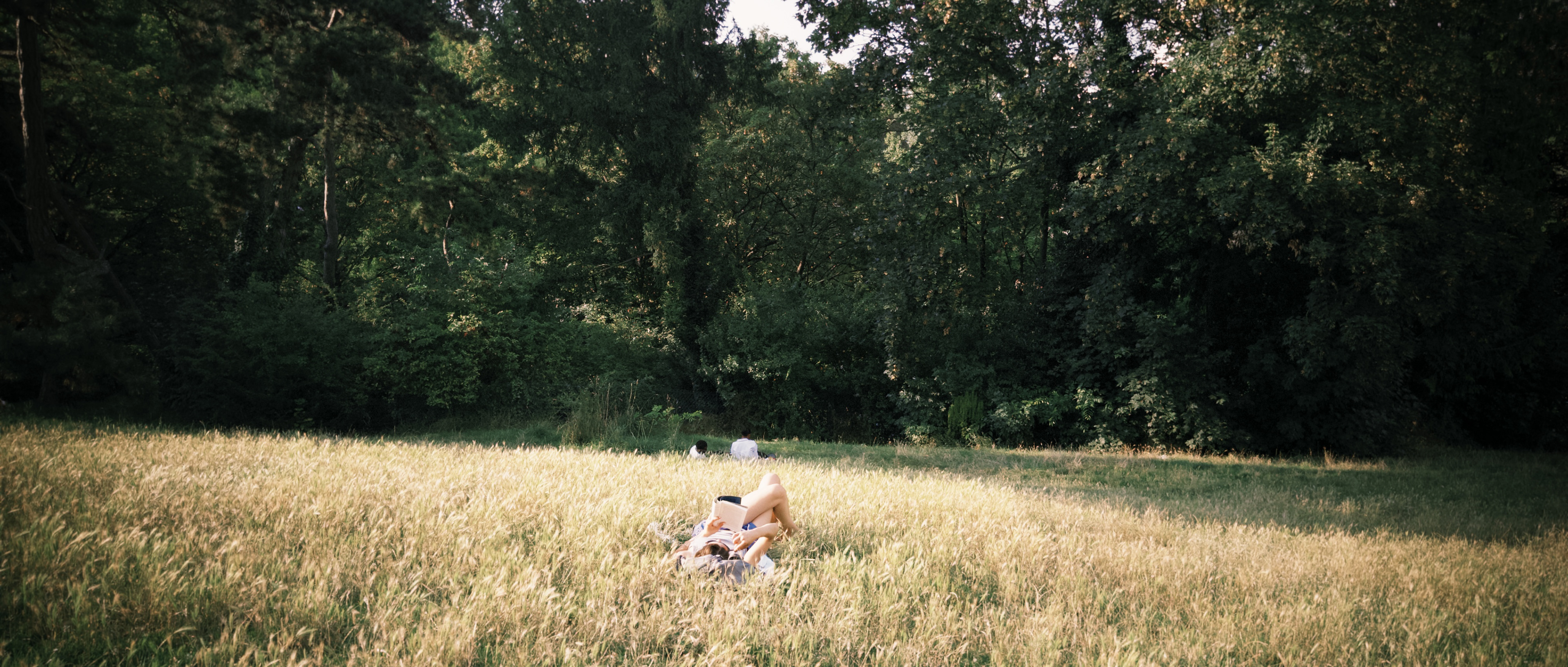 not to take too seriously