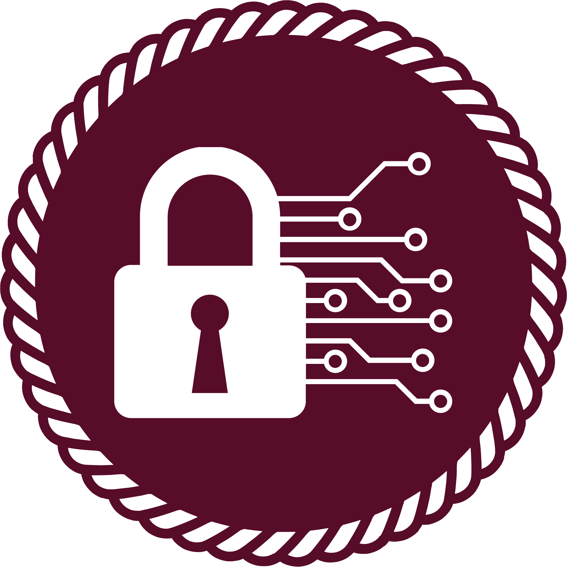 Cybersecurity Emblem