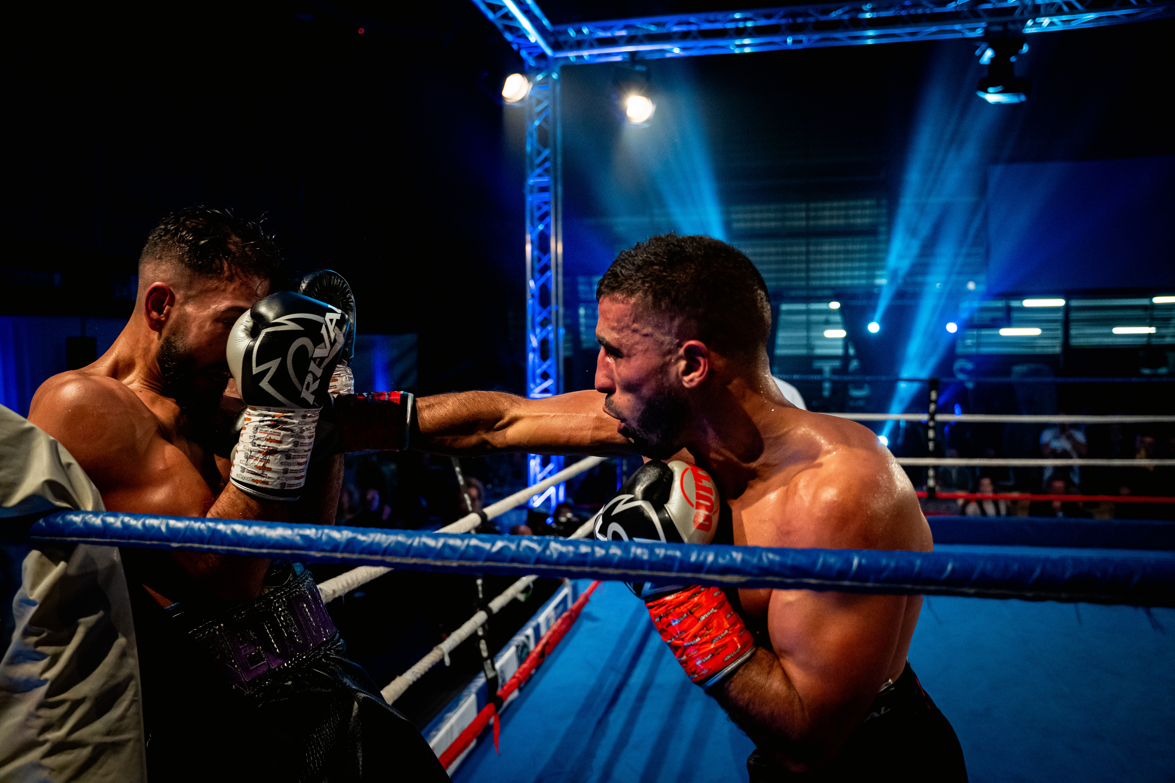 Les princes du ring (11/12/2021)