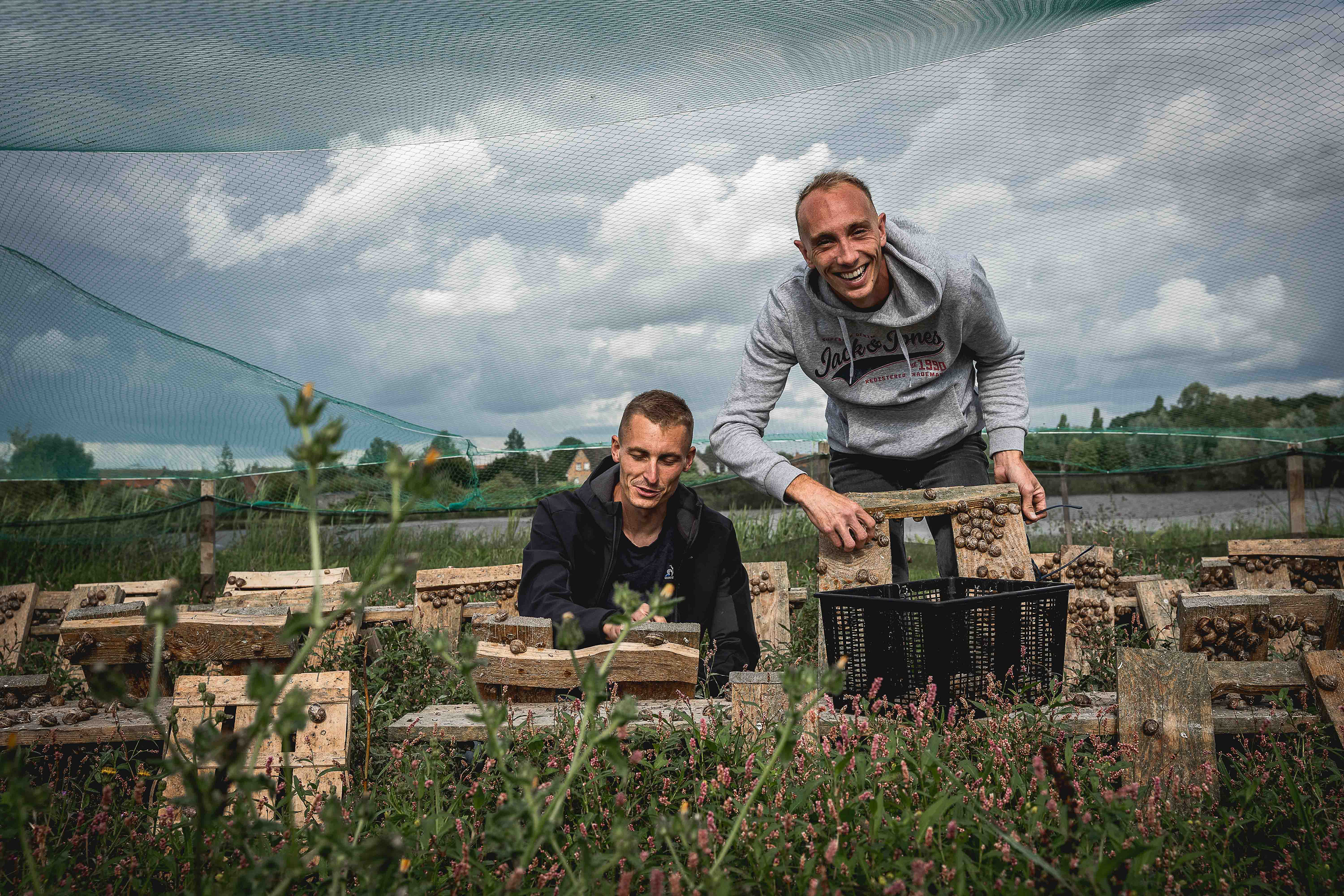 Dans une héliciculture à Clairmarais (Pas-de-Calais)