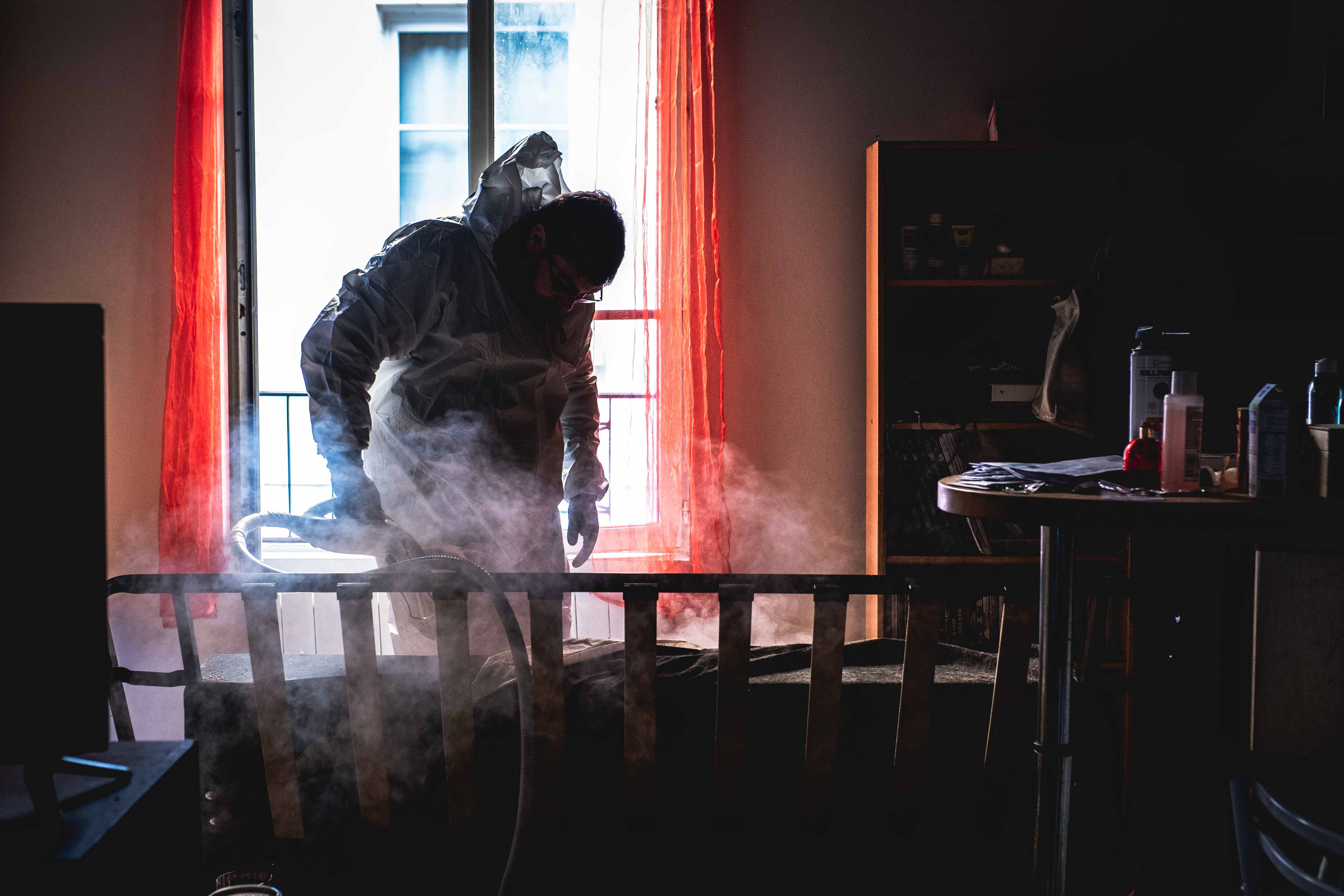 Désinsectisation punaises de lit