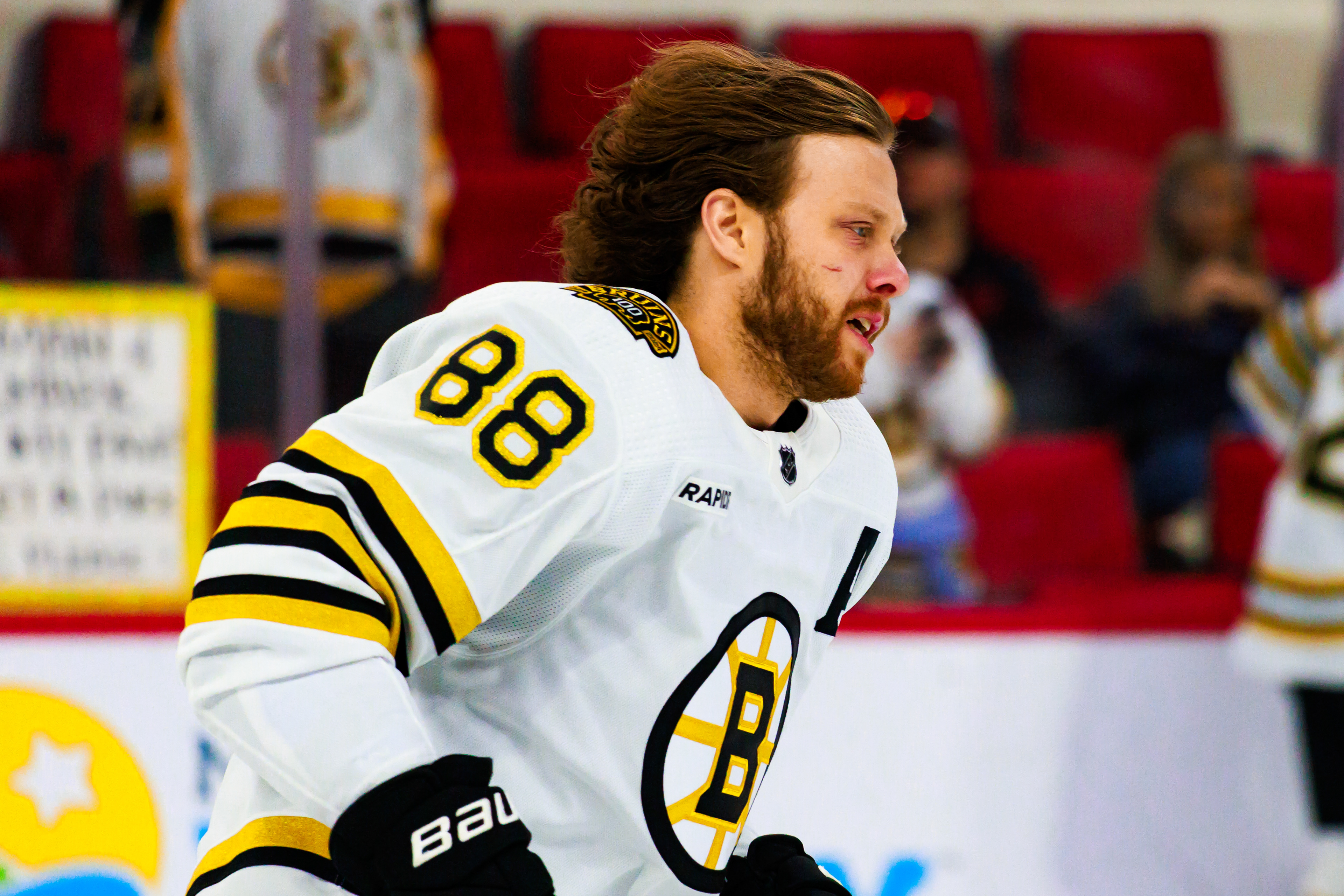 David Pastrnak