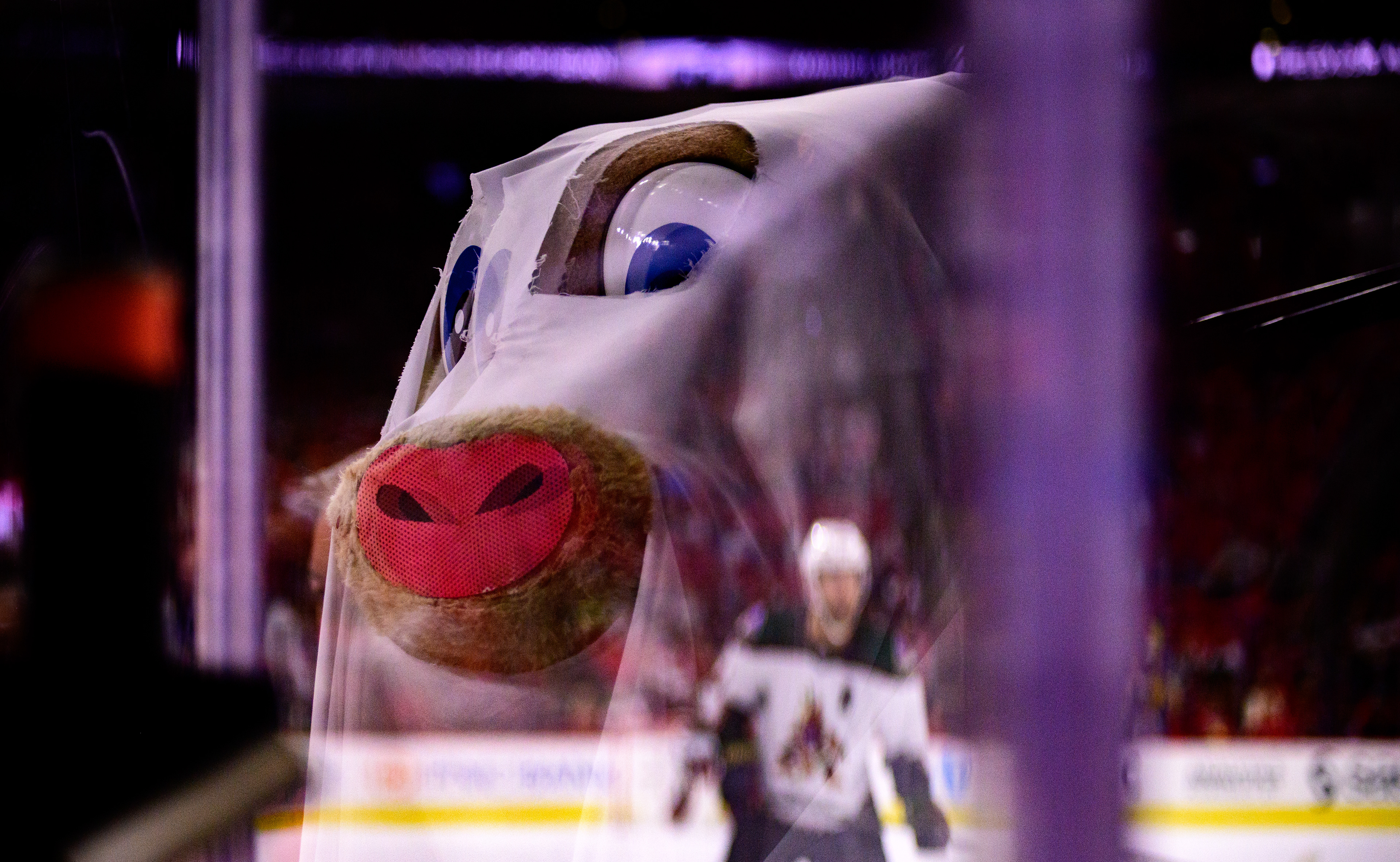 Canes mascot Stormy dressed up as a ghost for the game on Halloween 2021.