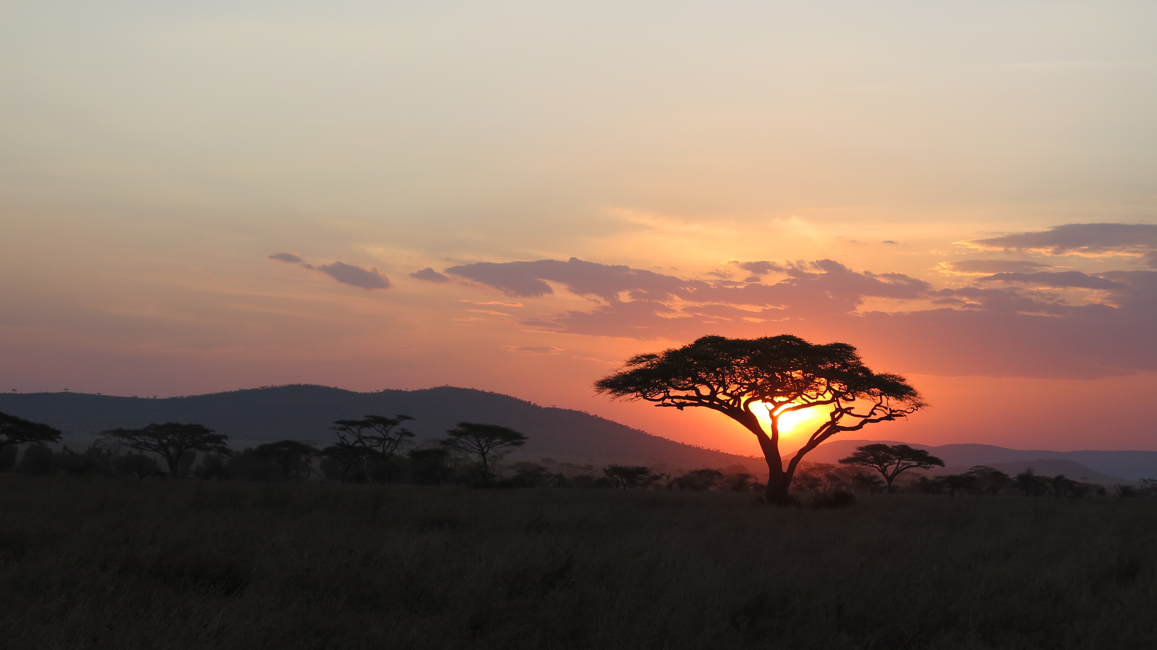 Serengeti -  Tanzania