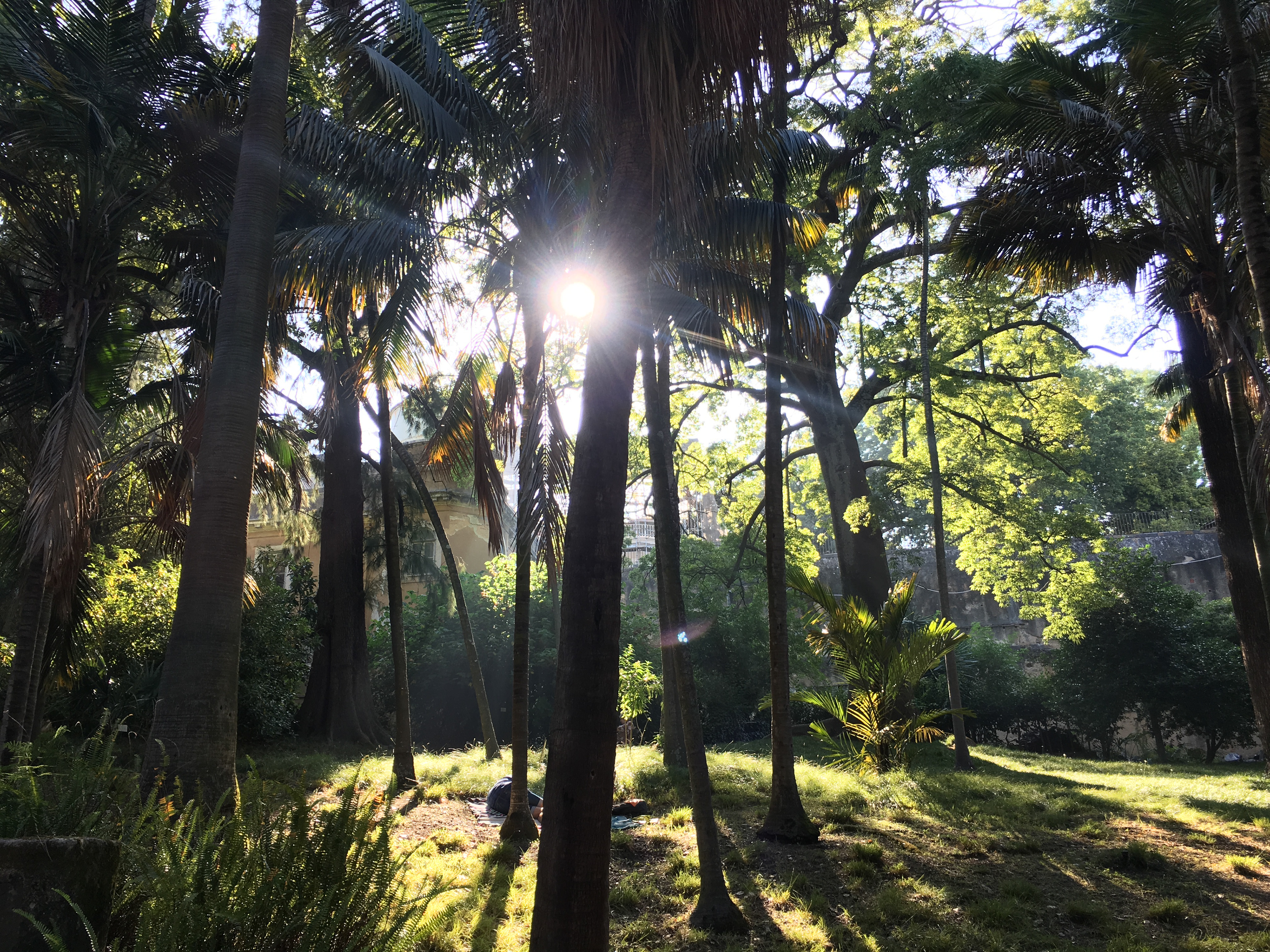 Jardim Botânico de Lisboa - Portugal