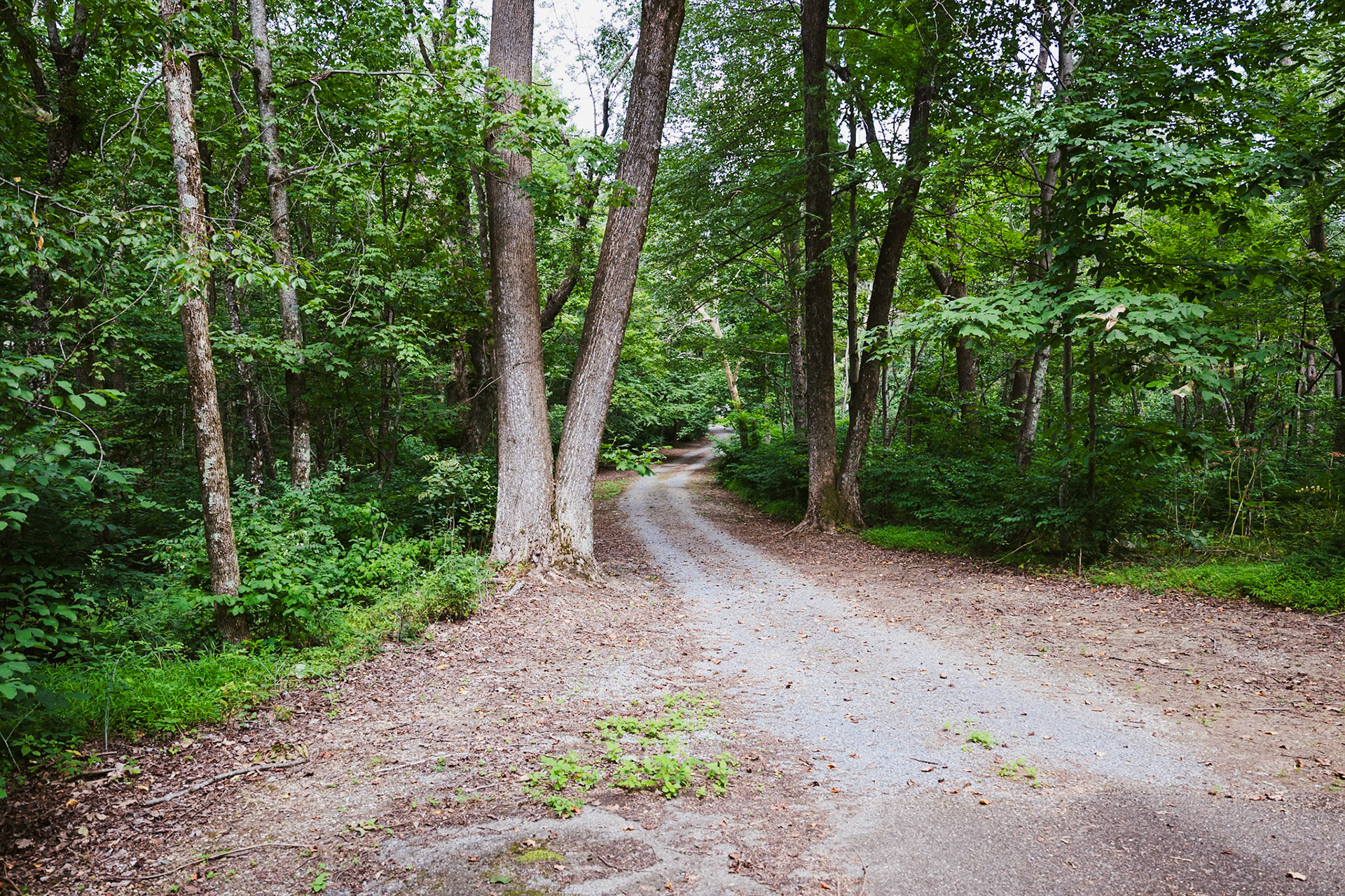 A Path Less Travelled