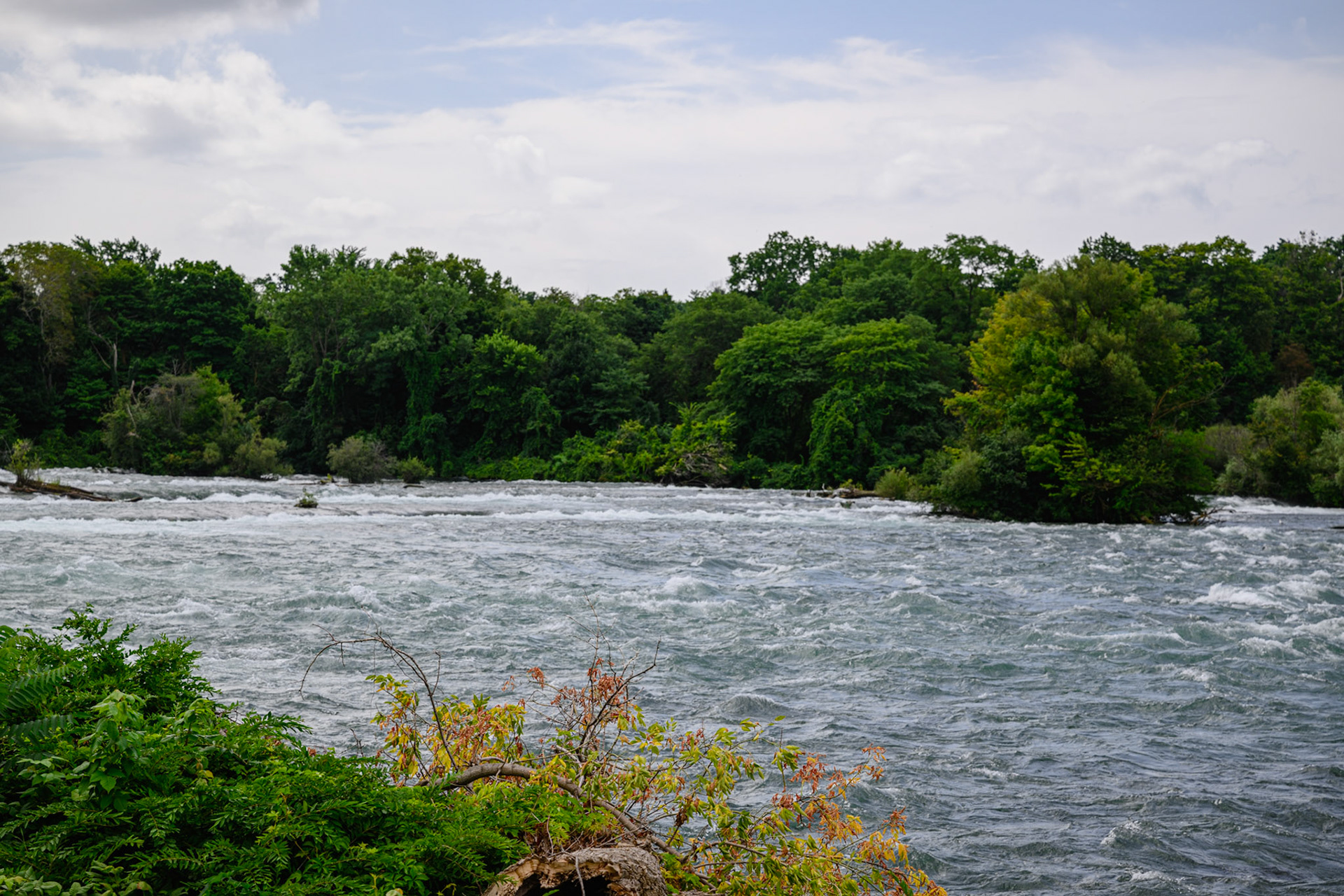 Rapids