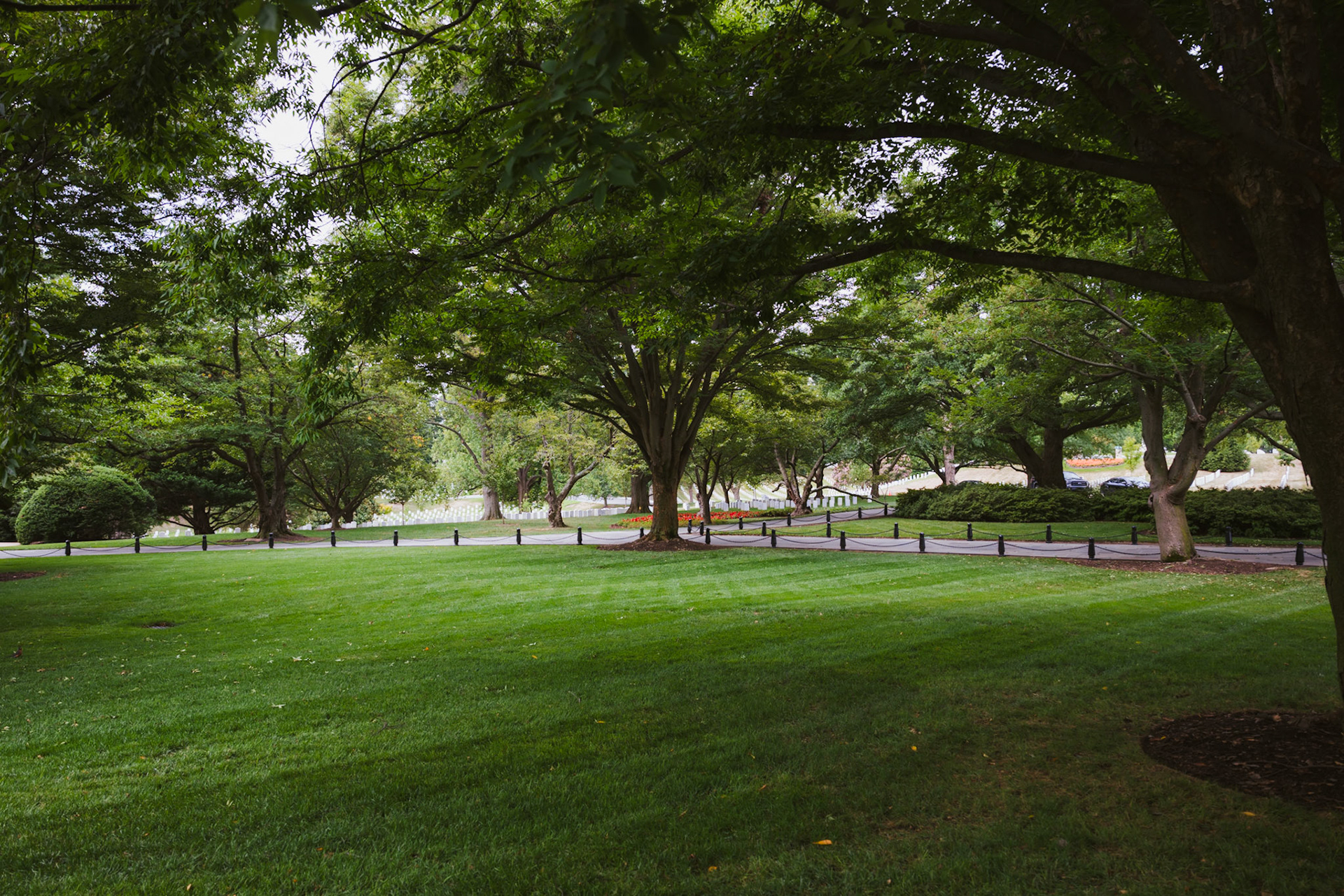 Arlington