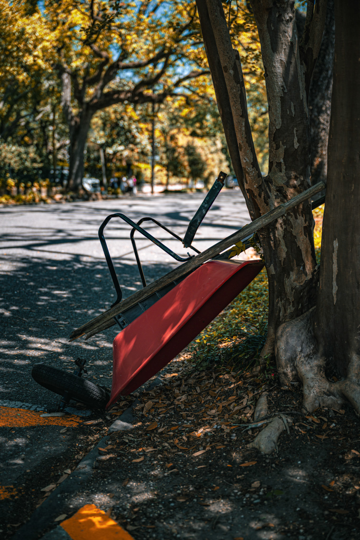 Broken Wheelbarrow