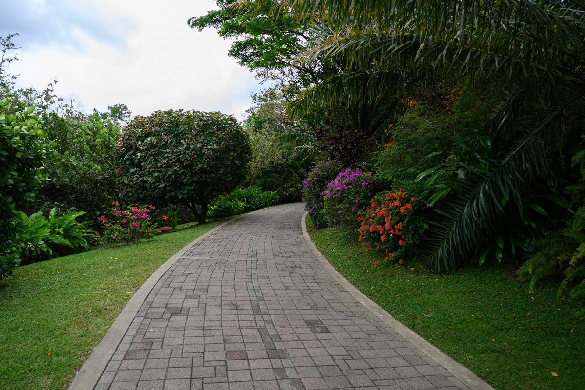 The Path