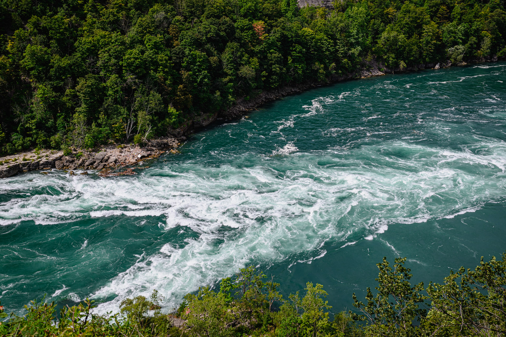The Whirlpool