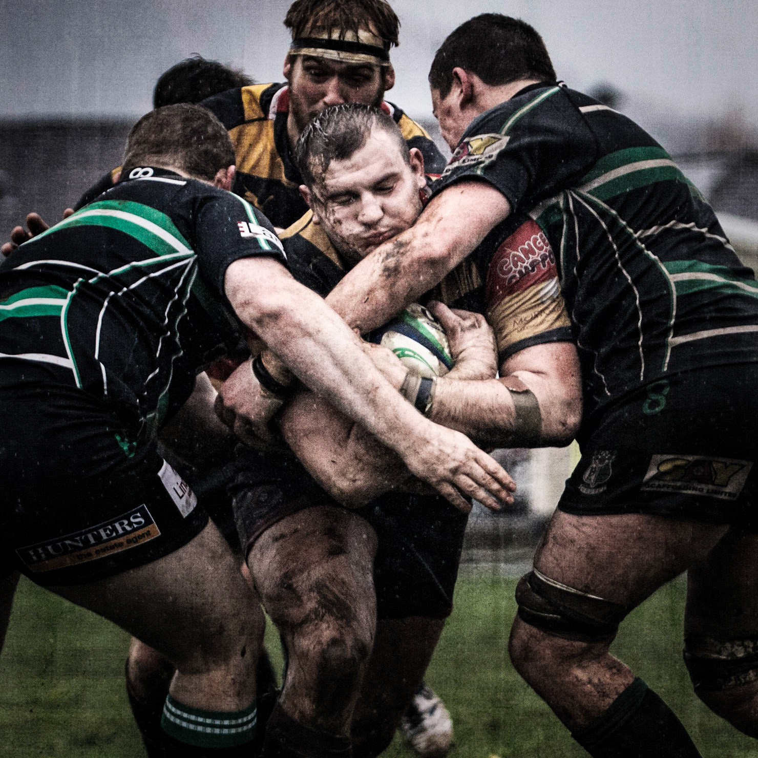 Bees 45 York 7
