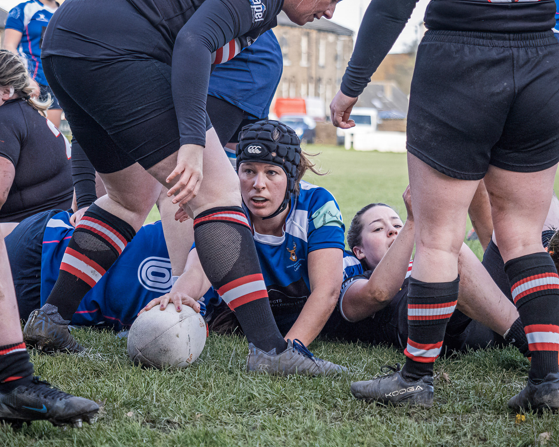 Old Brodleians v North Ribblesdale