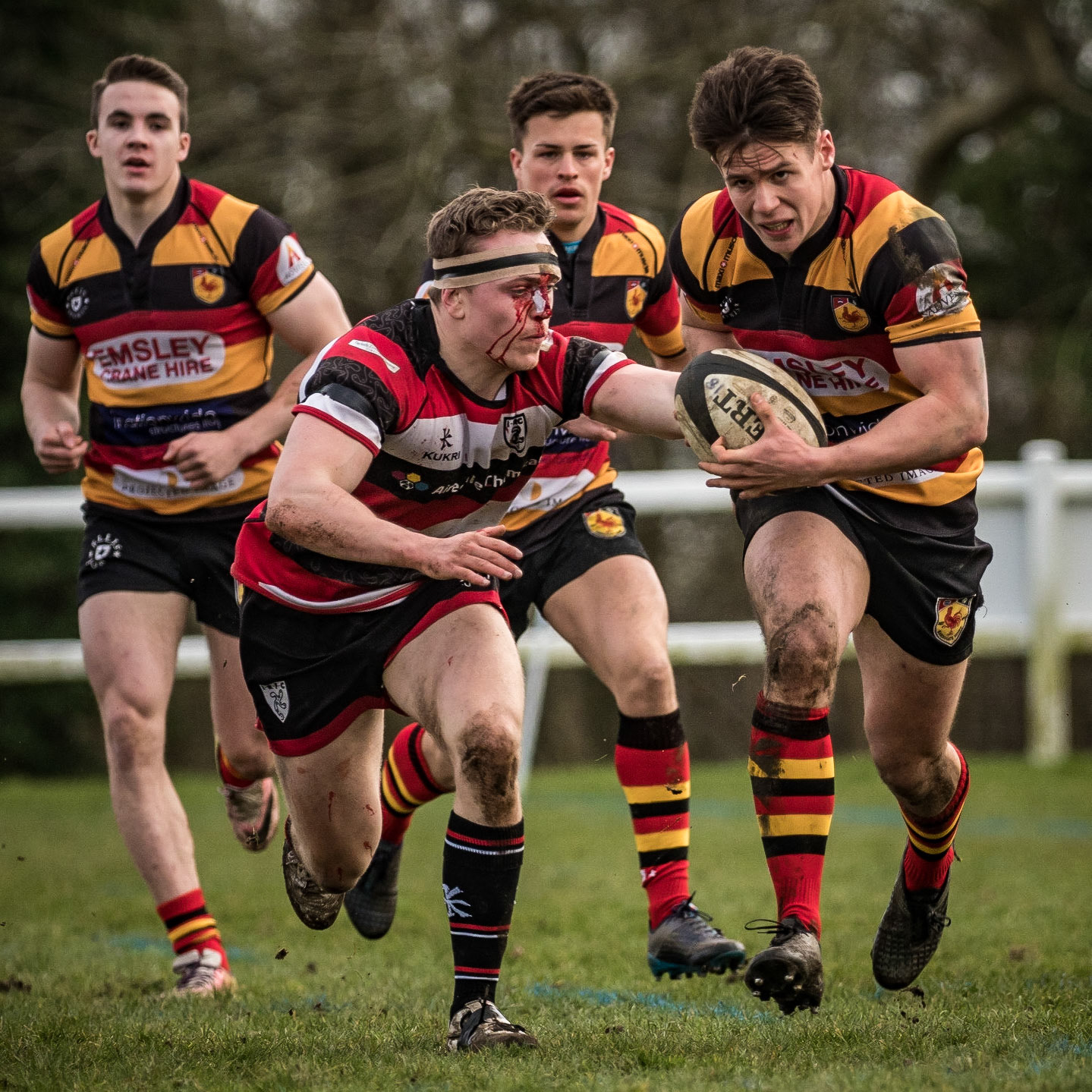 Harrogate v Ilkley