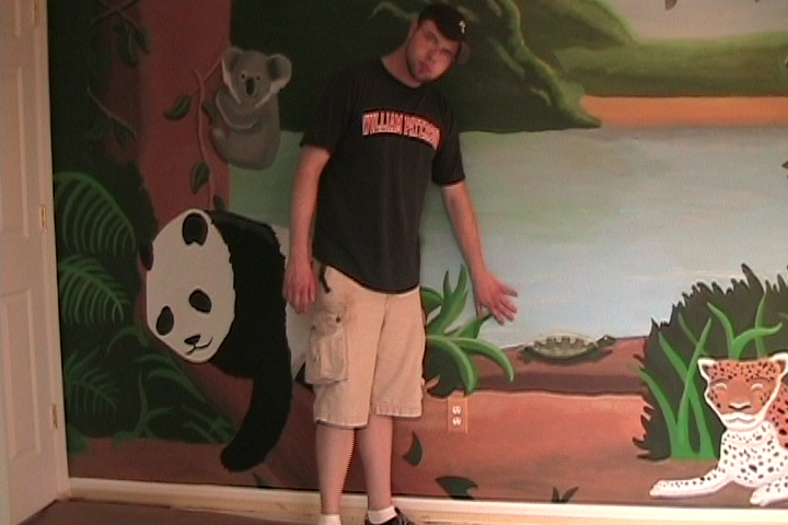 A mural I painted for a family in their child's bedroom with a "jungle" theme. 14x16'