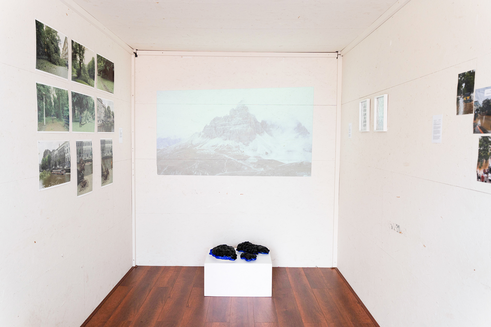 Pop-up 2: In Memory Of A Fallen Tree - Denis Gallen, Mountain Life - Lyanne Keegstra, Barren Earth - Bruna Souza