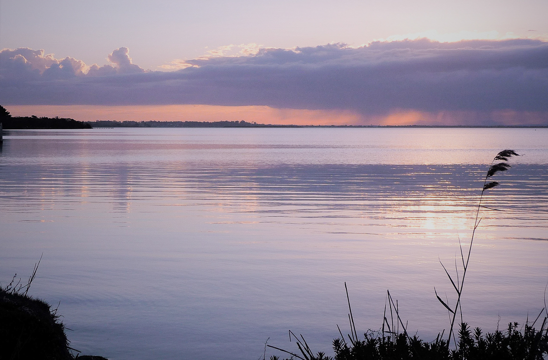 Raymond Island VIC