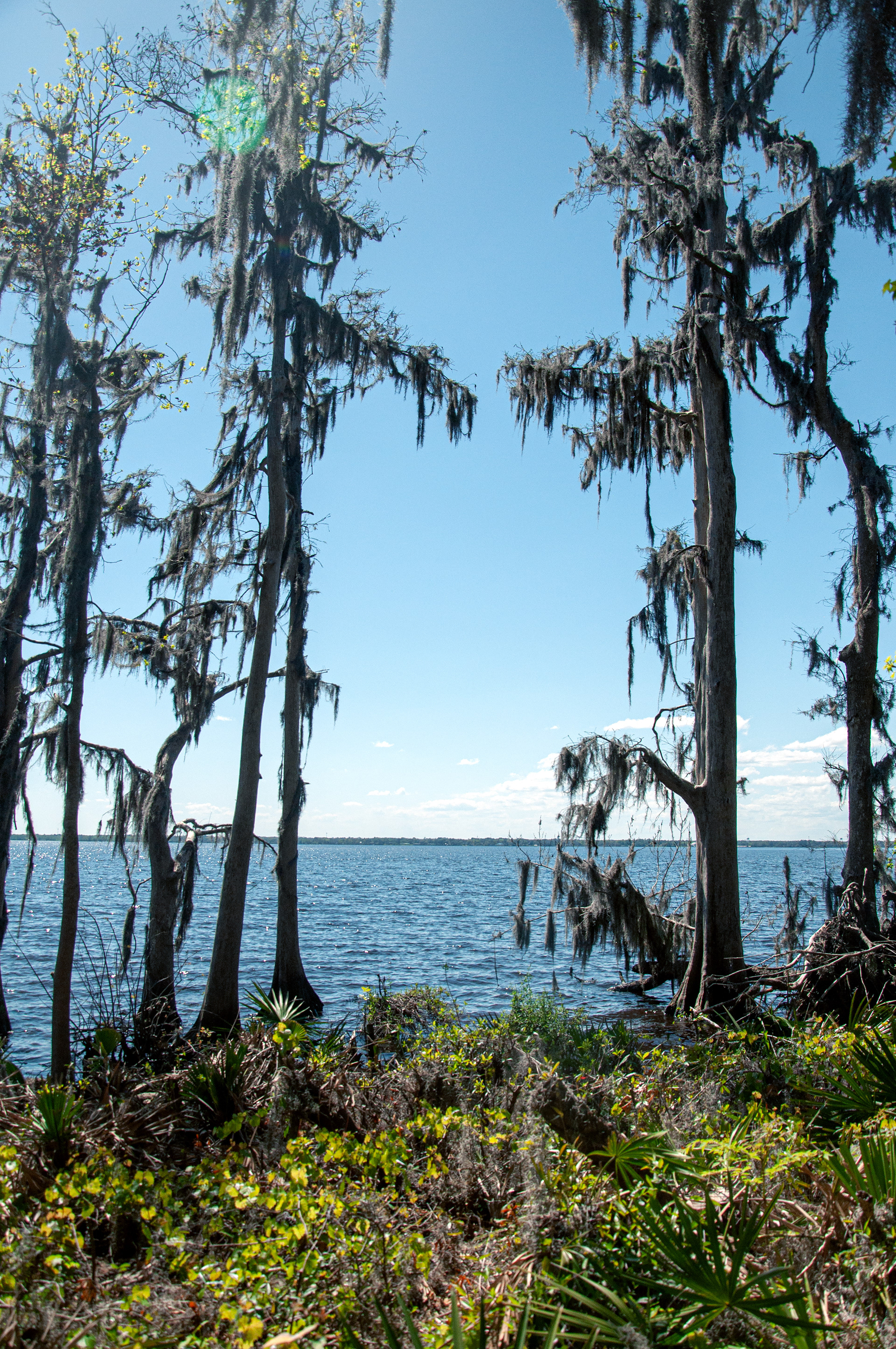 View From River Walk